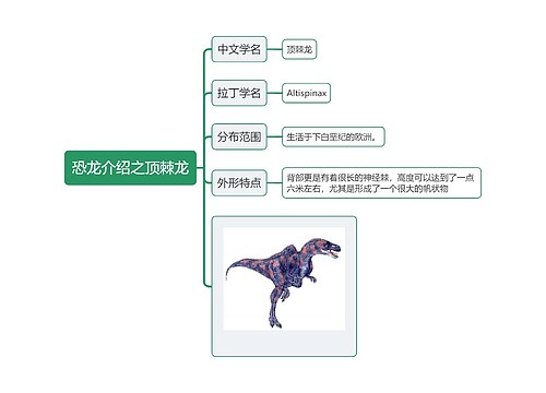 恐龙介绍之顶棘龙思维导图