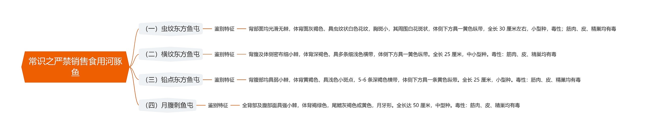 常识之严禁销售食用河豚鱼思维导图