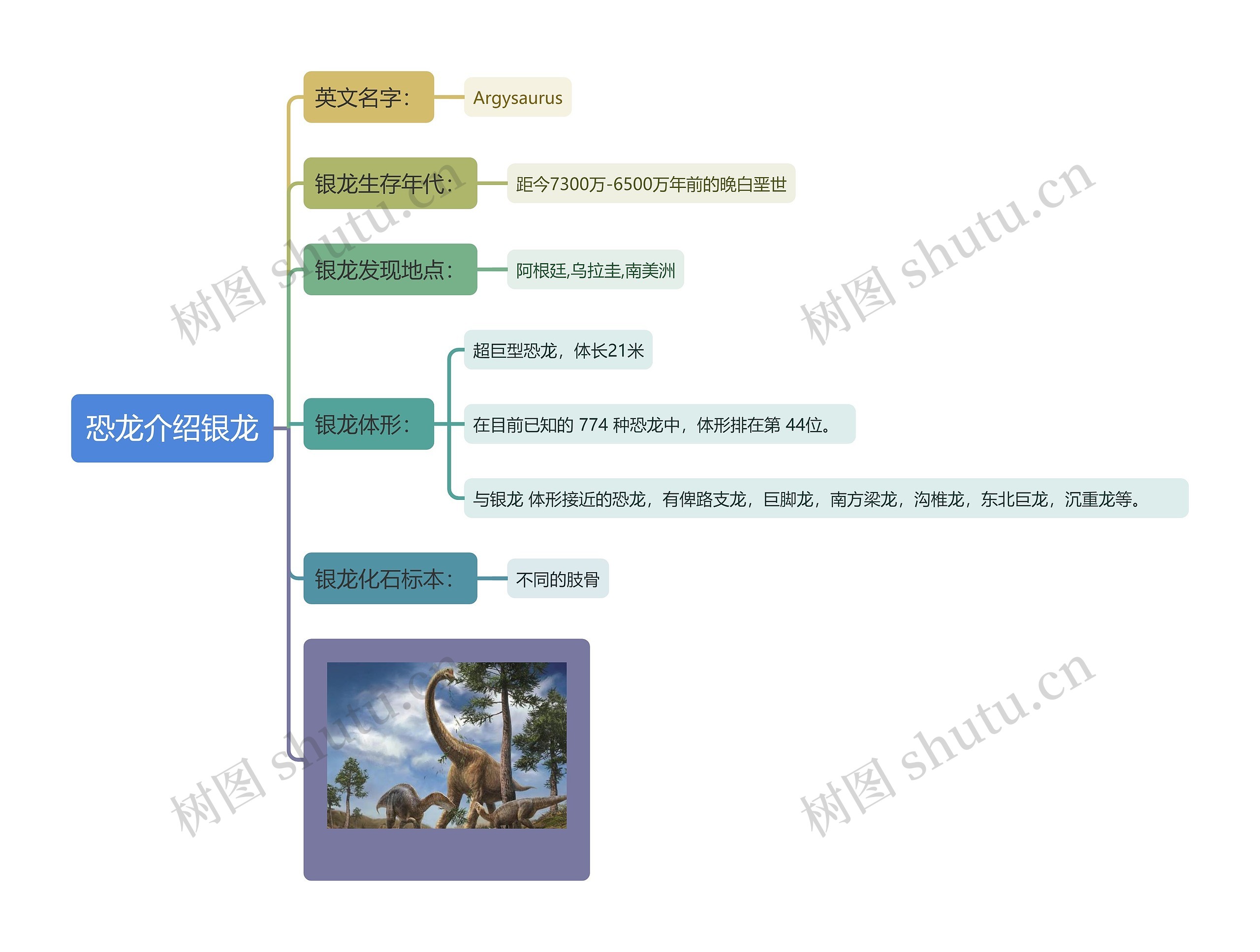 恐龙介绍银龙