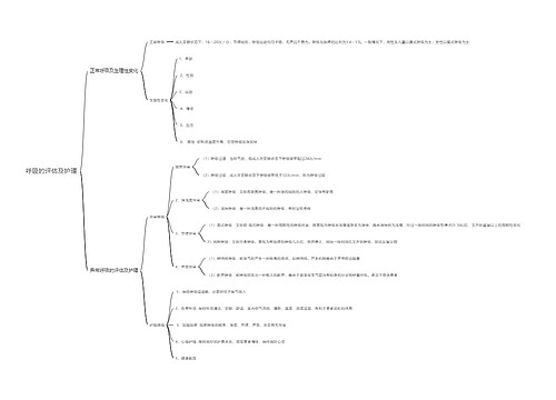 呼吸的评估及护理思维导图