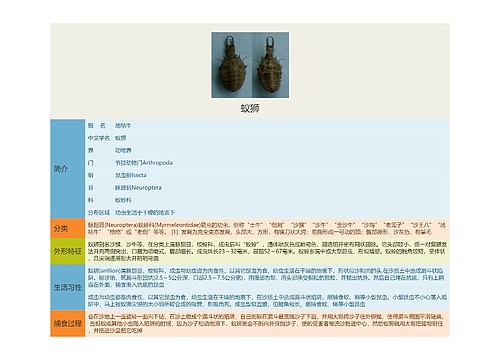 蚁狮思维导图