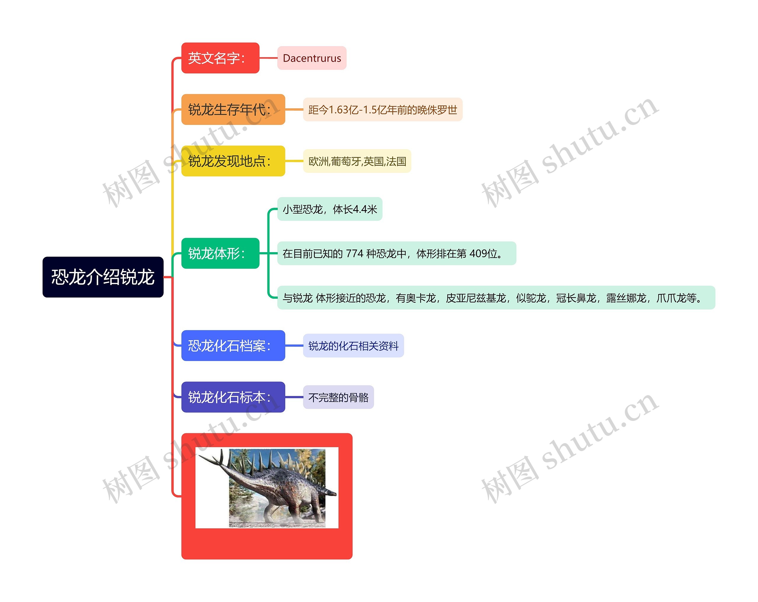 恐龙介绍锐龙思维导图