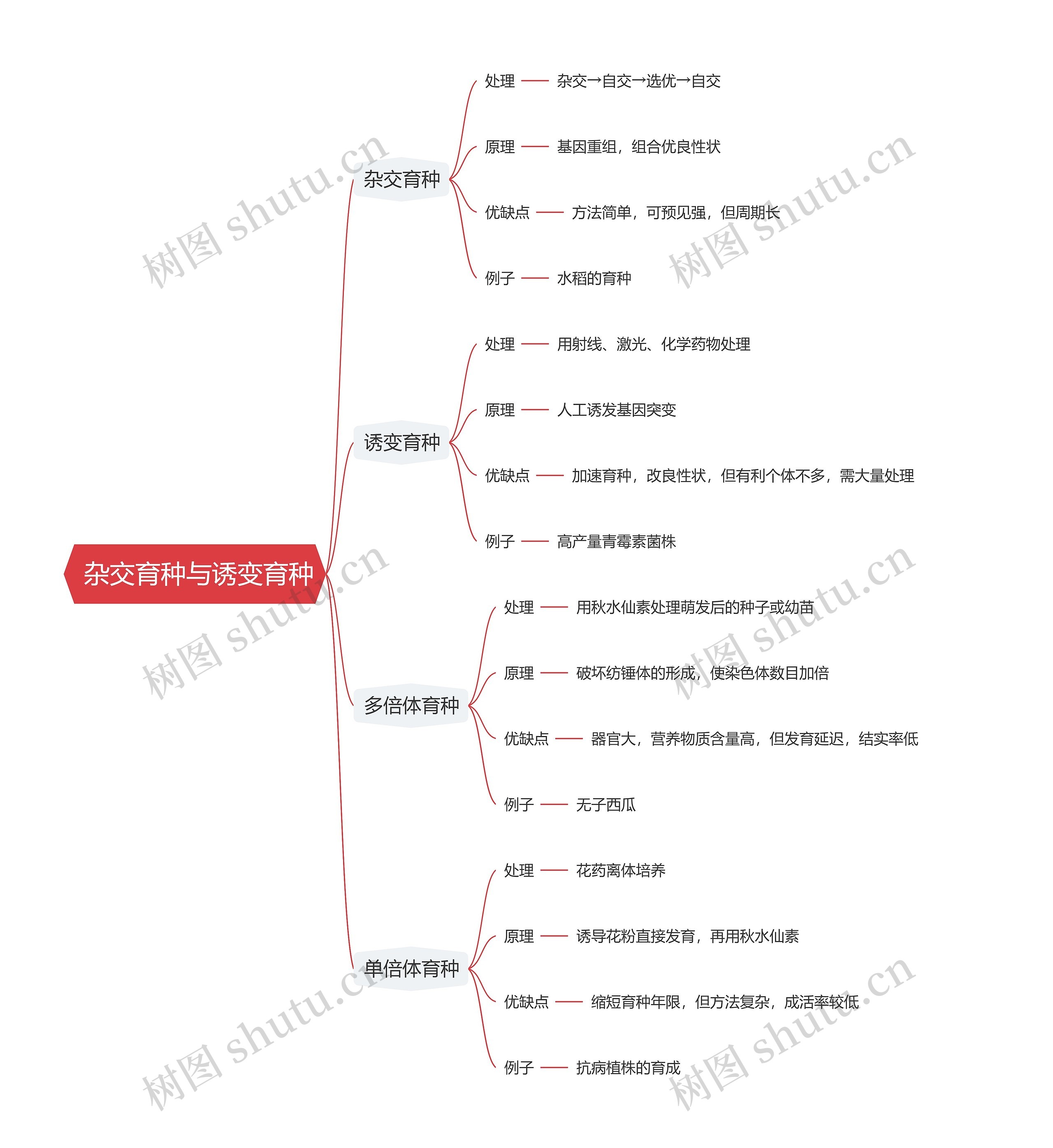  杂交育种与诱变育种思维导图