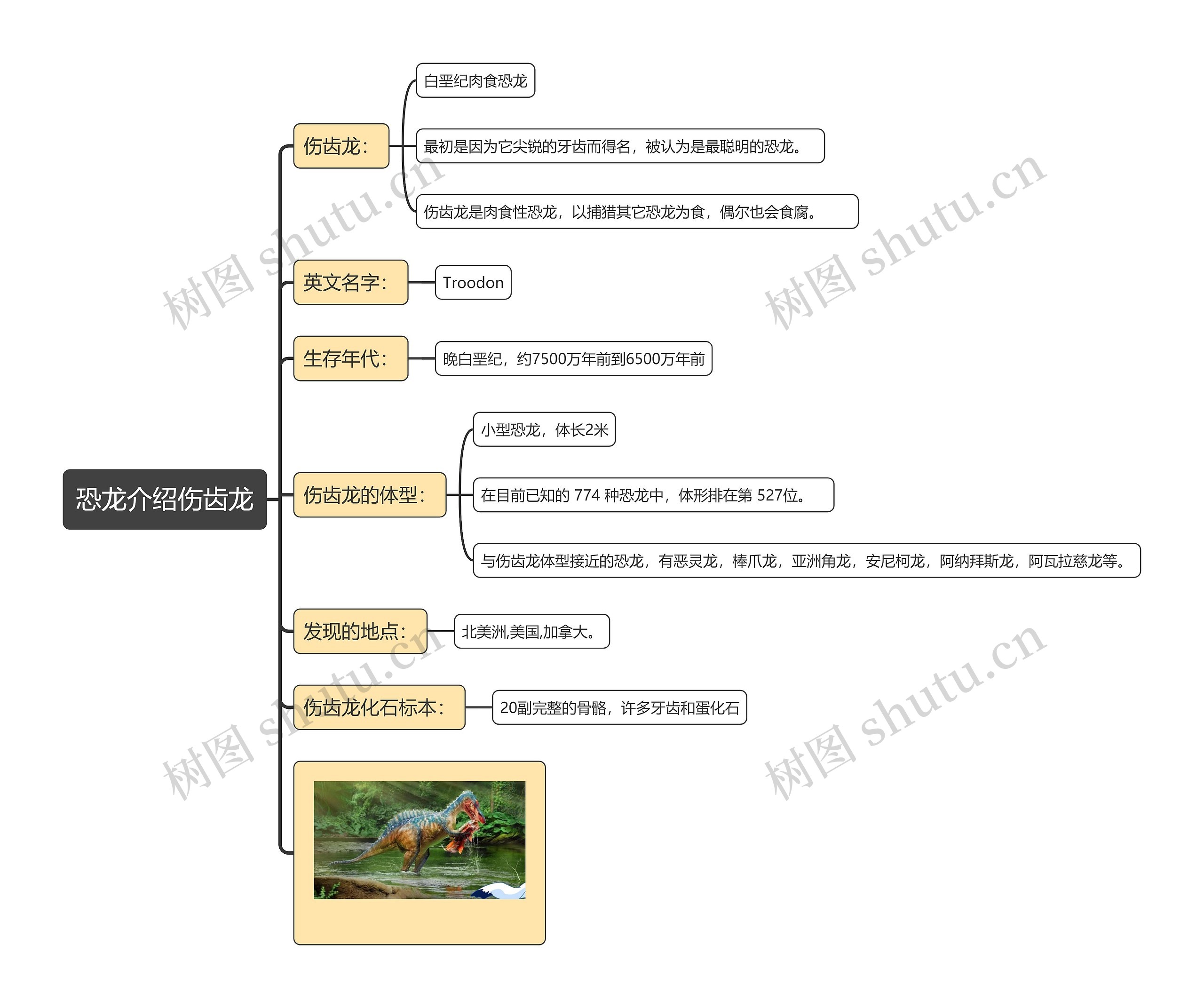 恐龙介绍伤齿龙思维导图