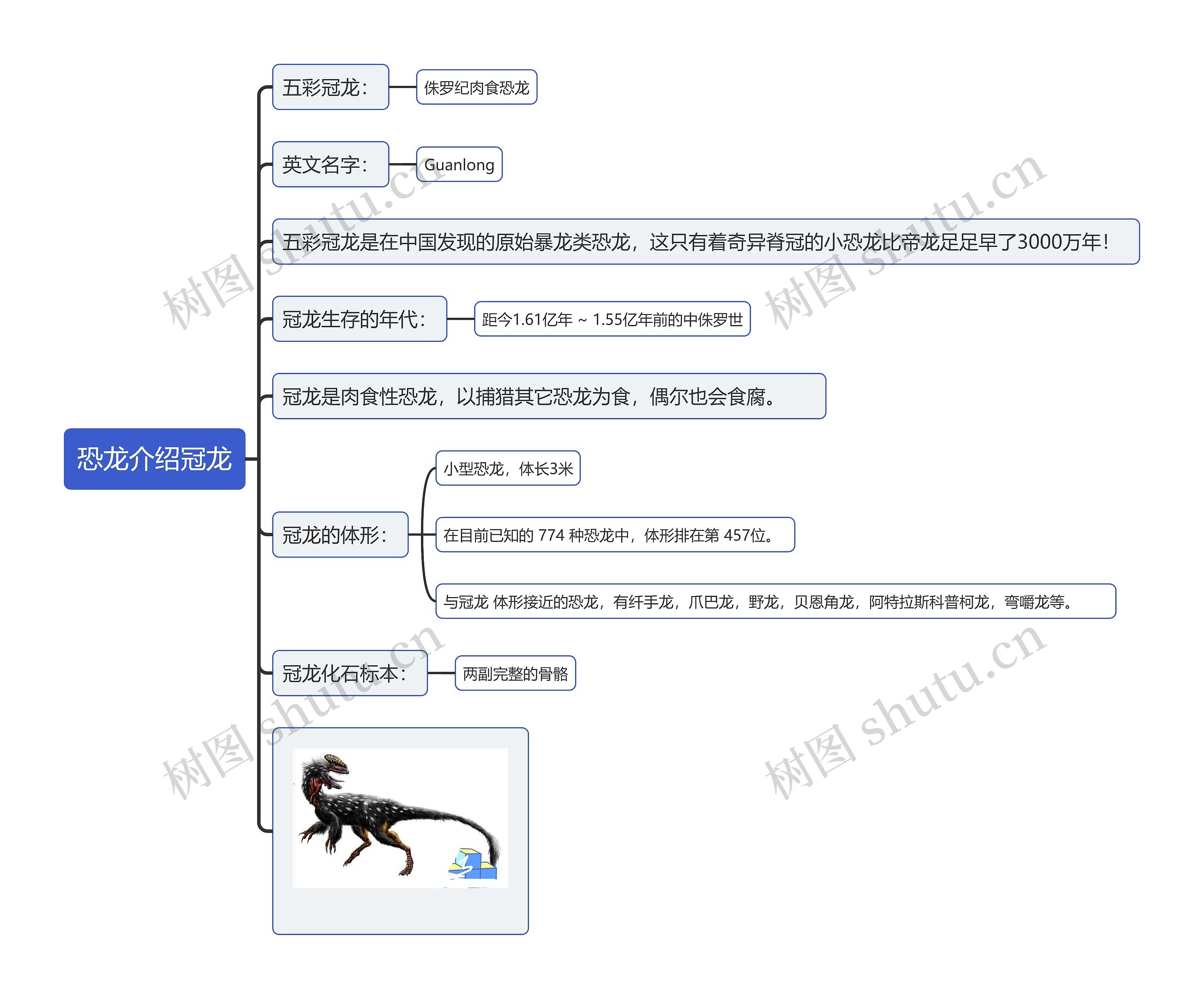 恐龙介绍冠龙思维导图