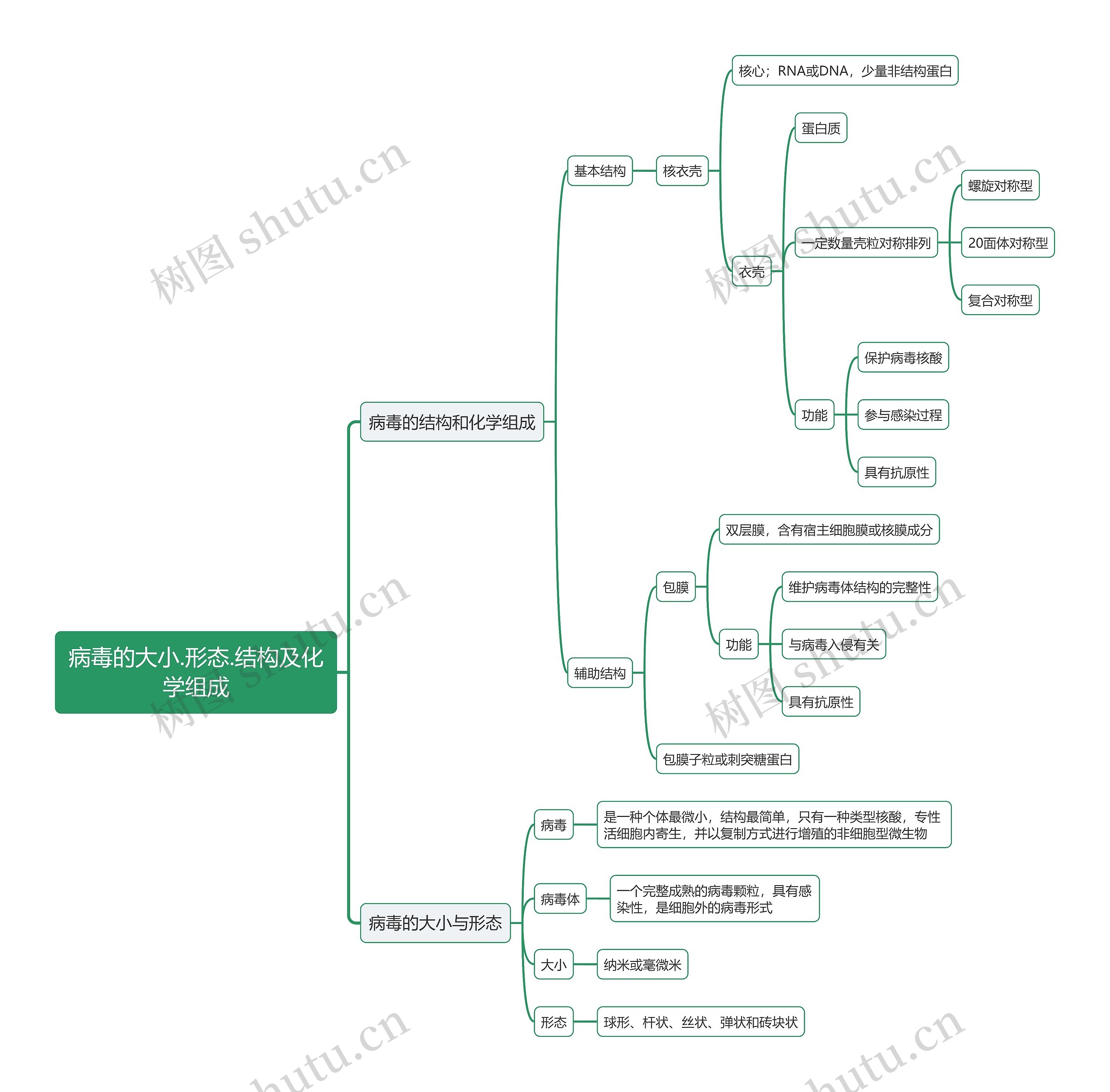 病毒的大小.形态.结构及化学组成思维导图