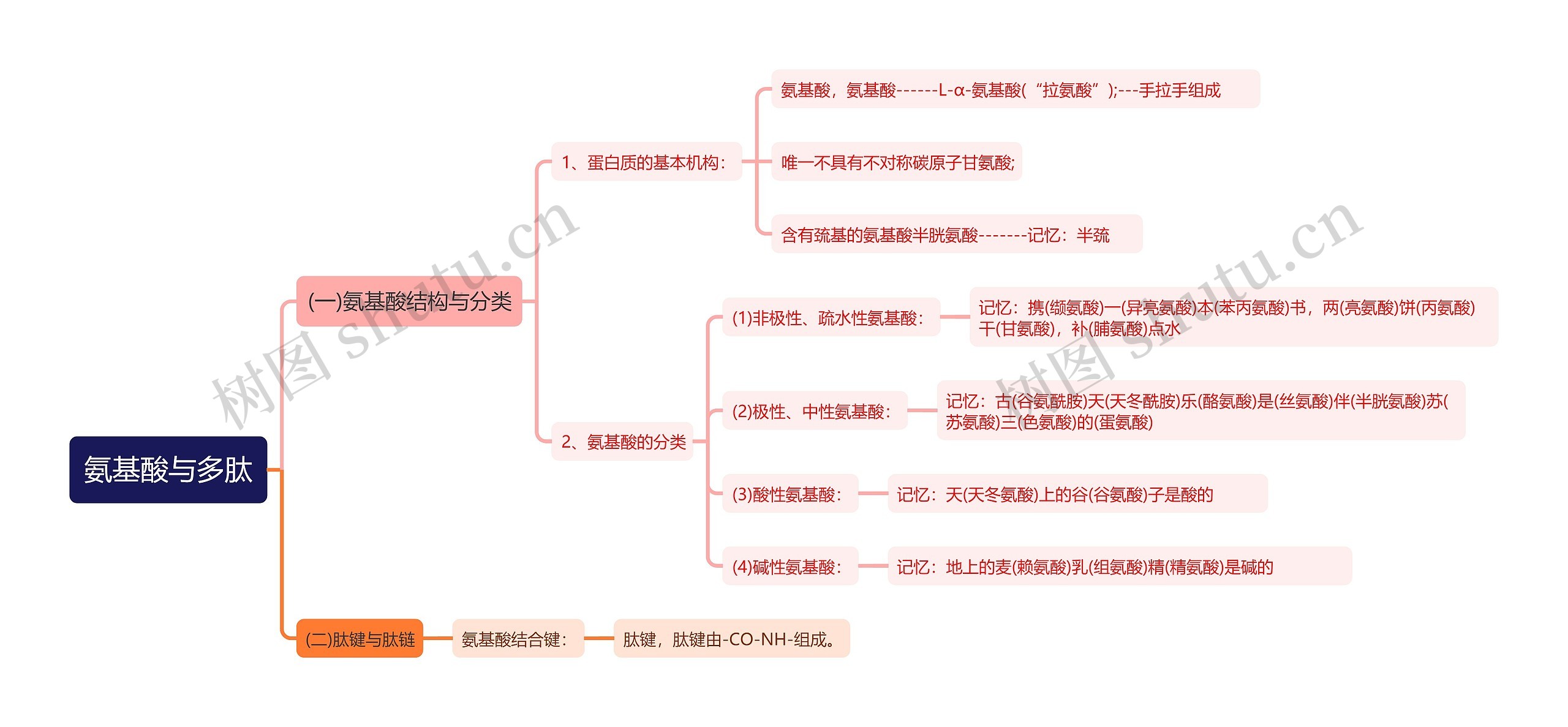 氨基酸与多肽知识点