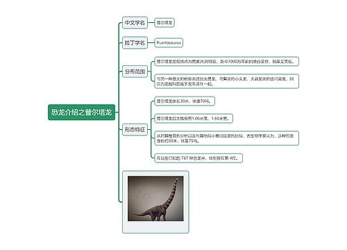 恐龙介绍之普尔塔龙思维导图