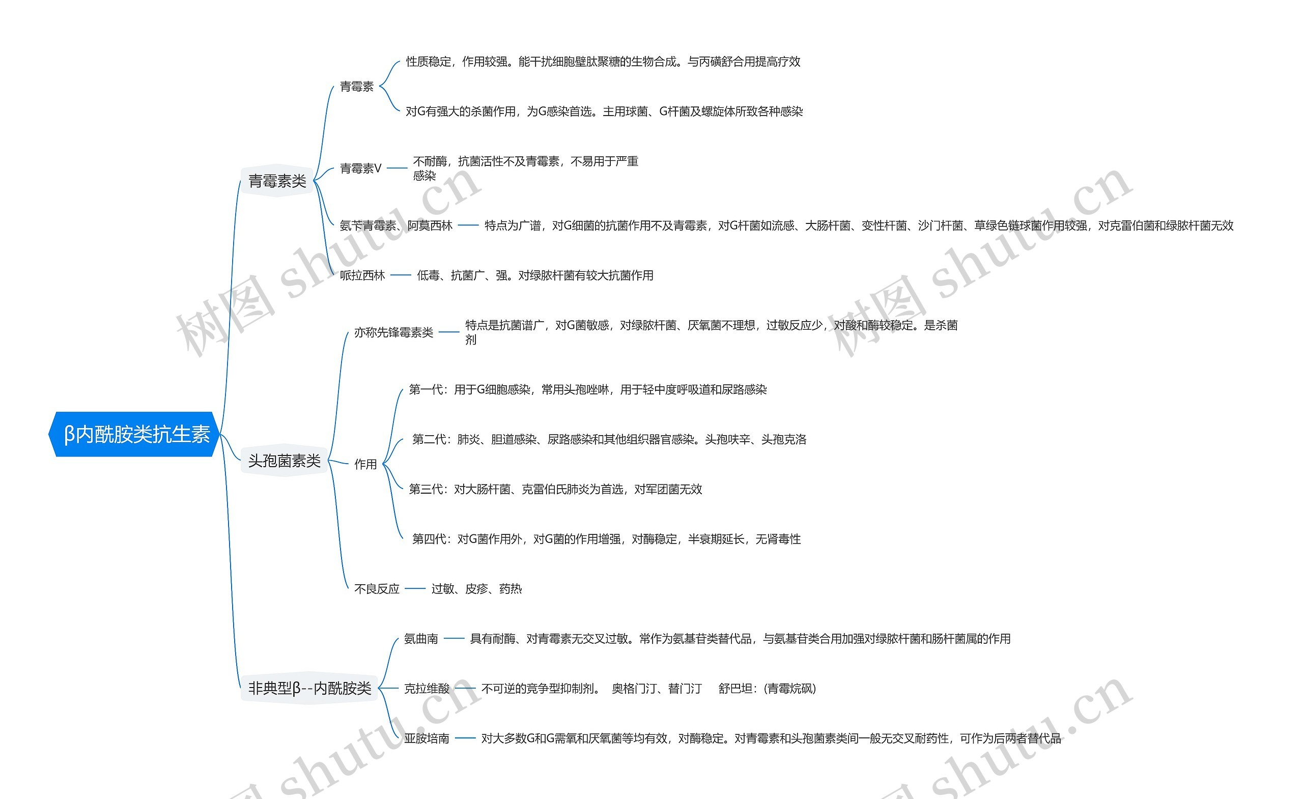  β内酰胺类抗生素思维导图