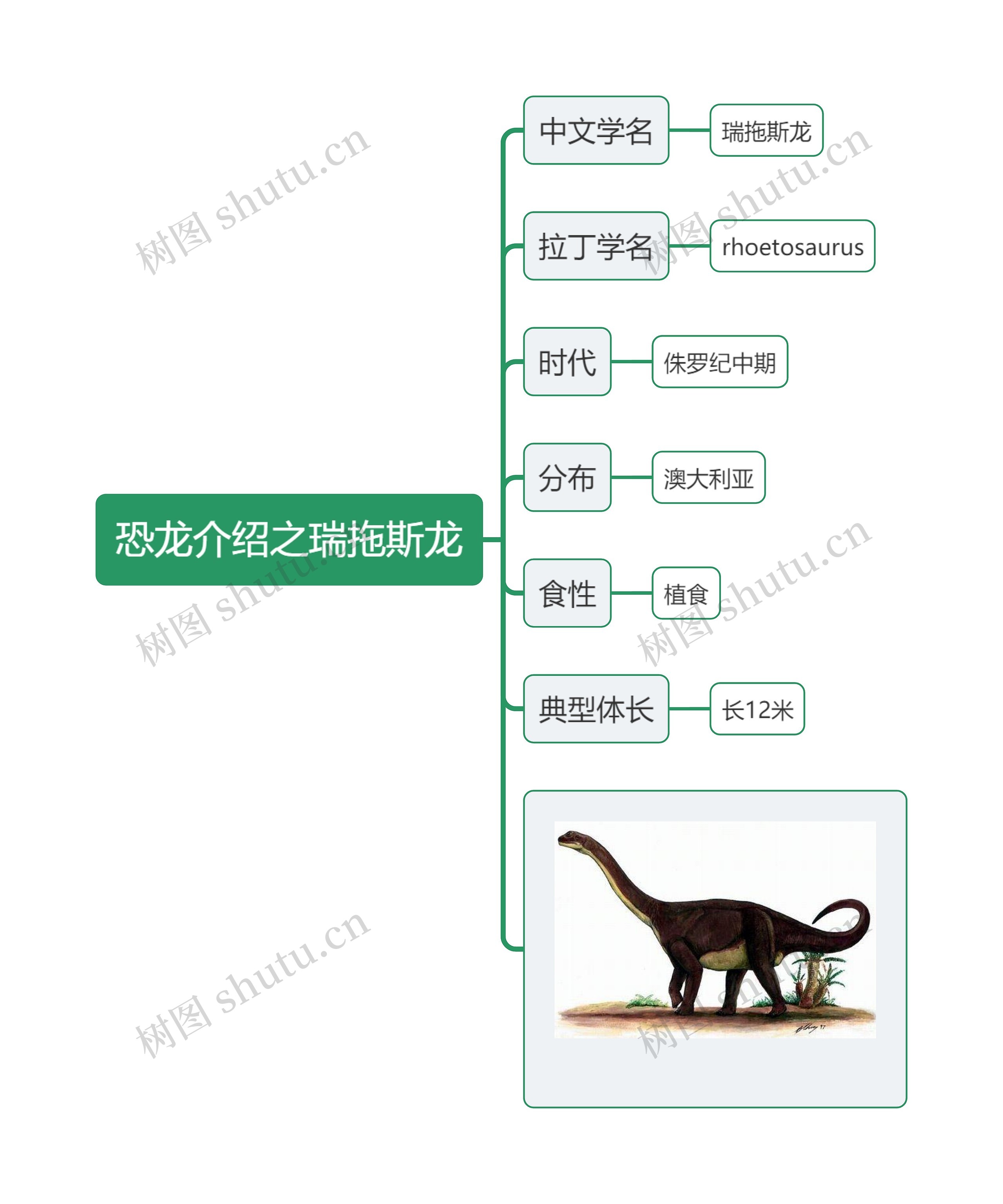 恐龙介绍之瑞拖斯龙思维导图