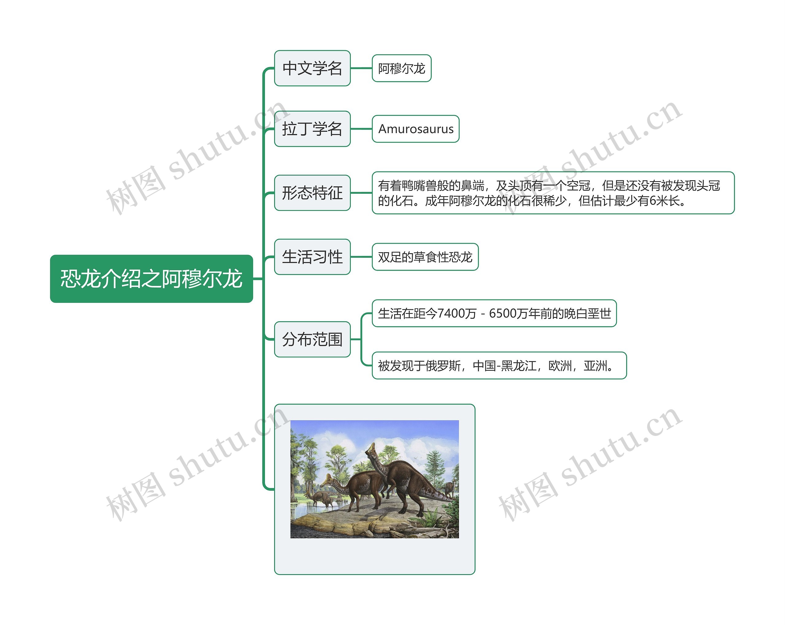 恐龙介绍之阿穆尔龙思维导图