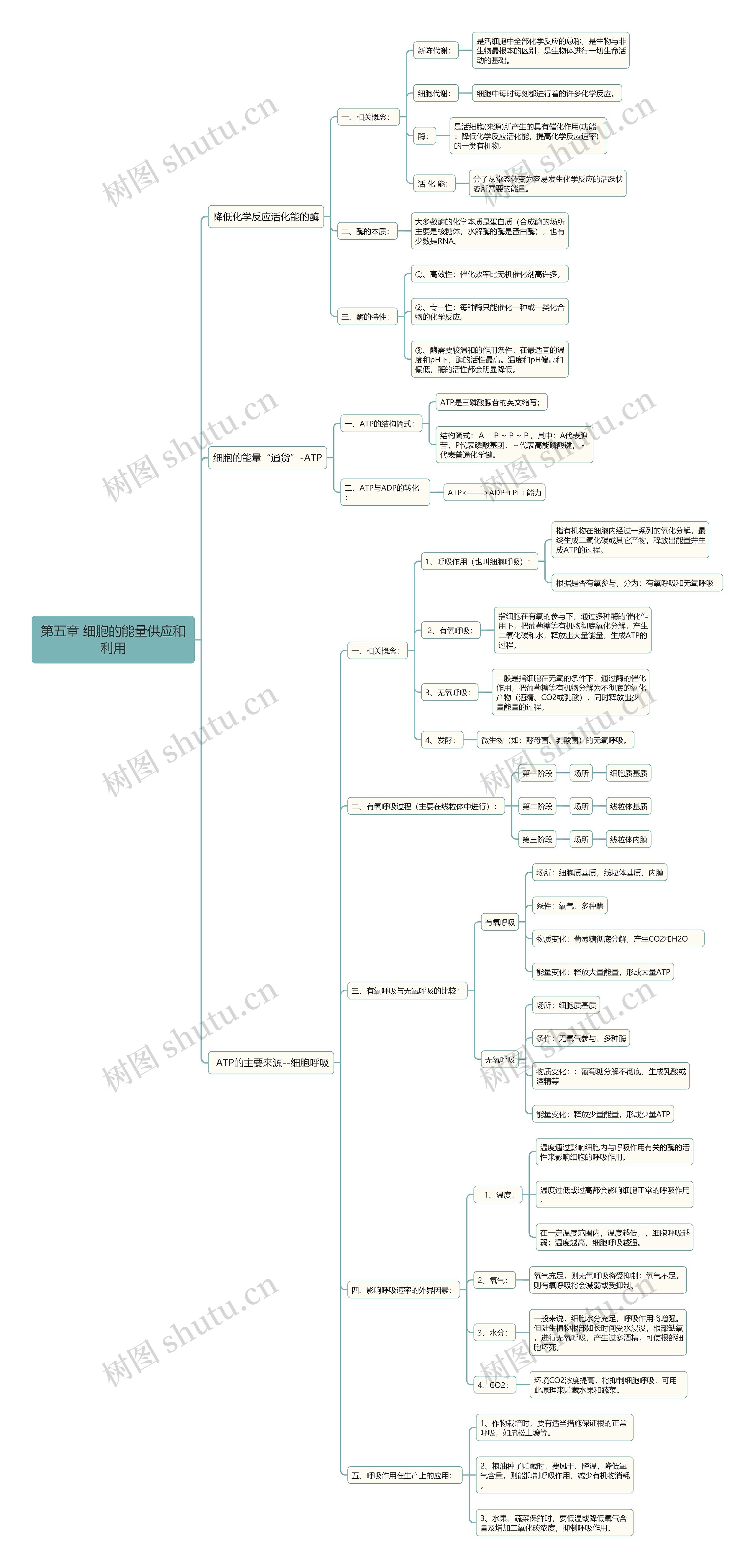 高中生物必修一细胞的能量供应和利用思维导图