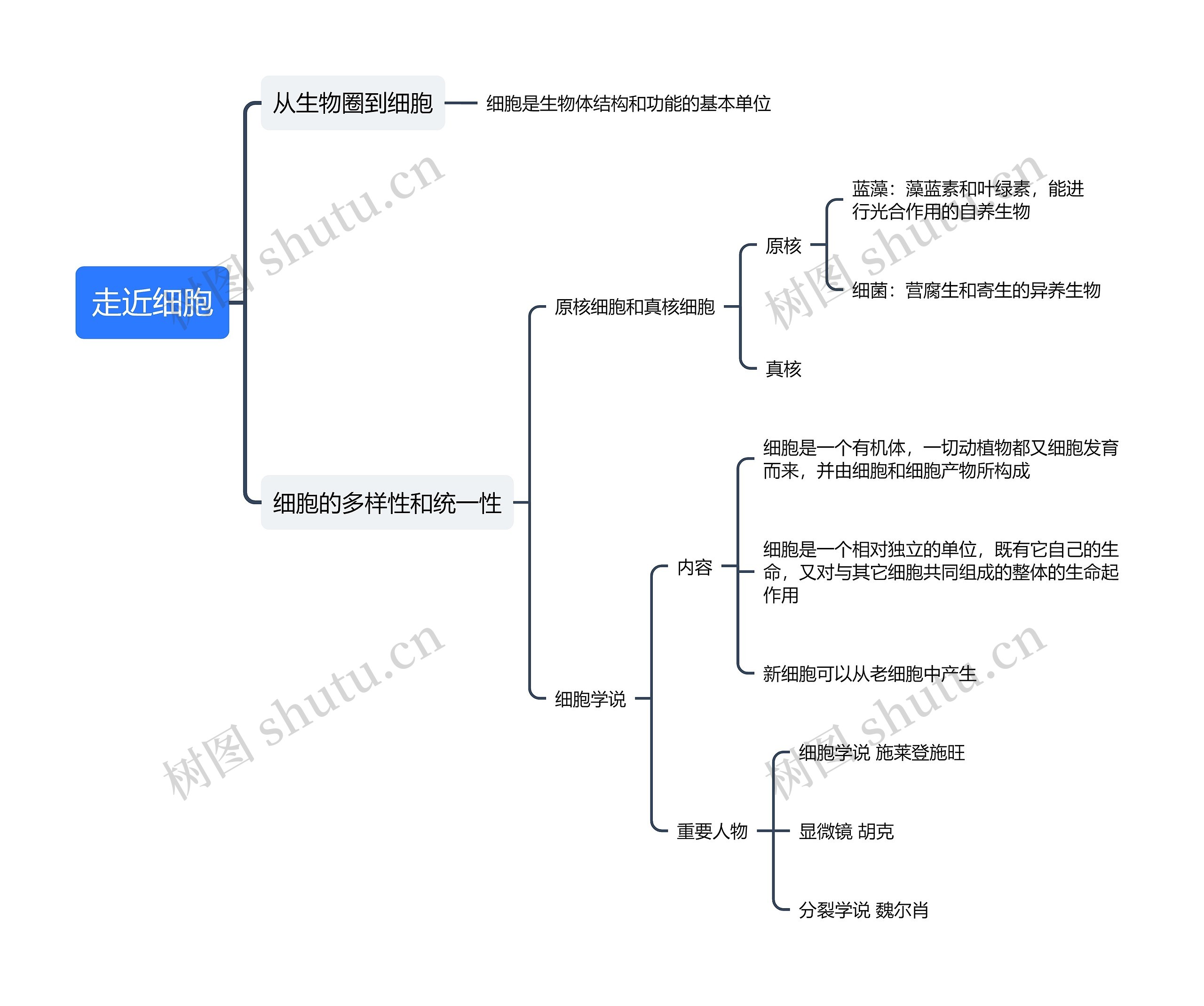 高中生物必修一---走近细胞思维导图