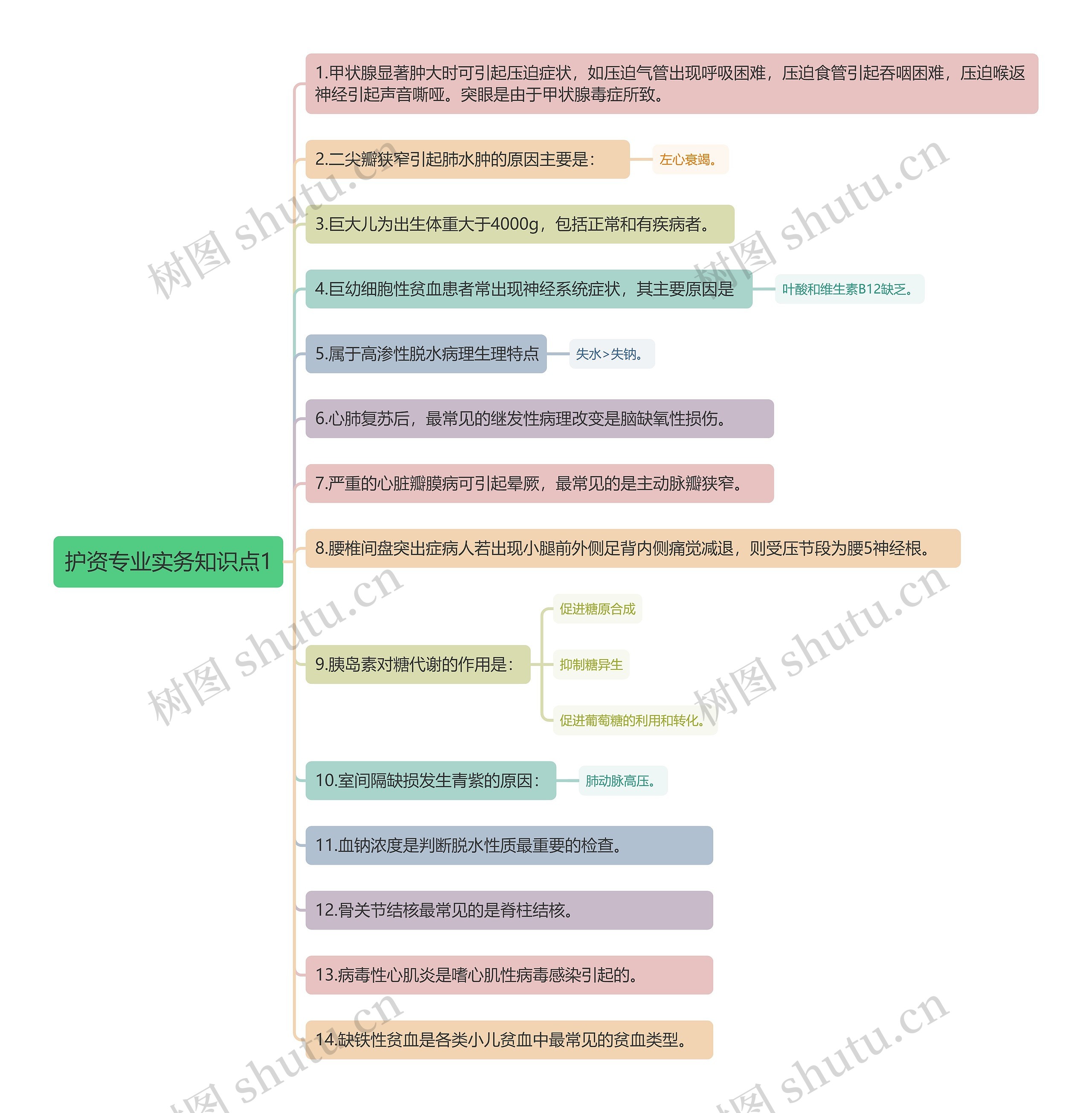 护资专业实务知识点1思维导图