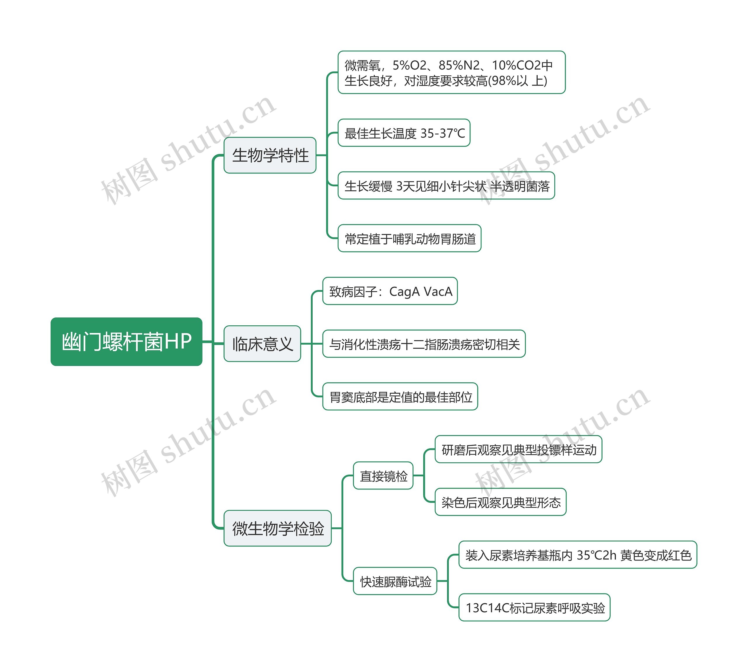 幽门螺杆菌HP思维导图高清图 幽门螺杆菌HP思维导图