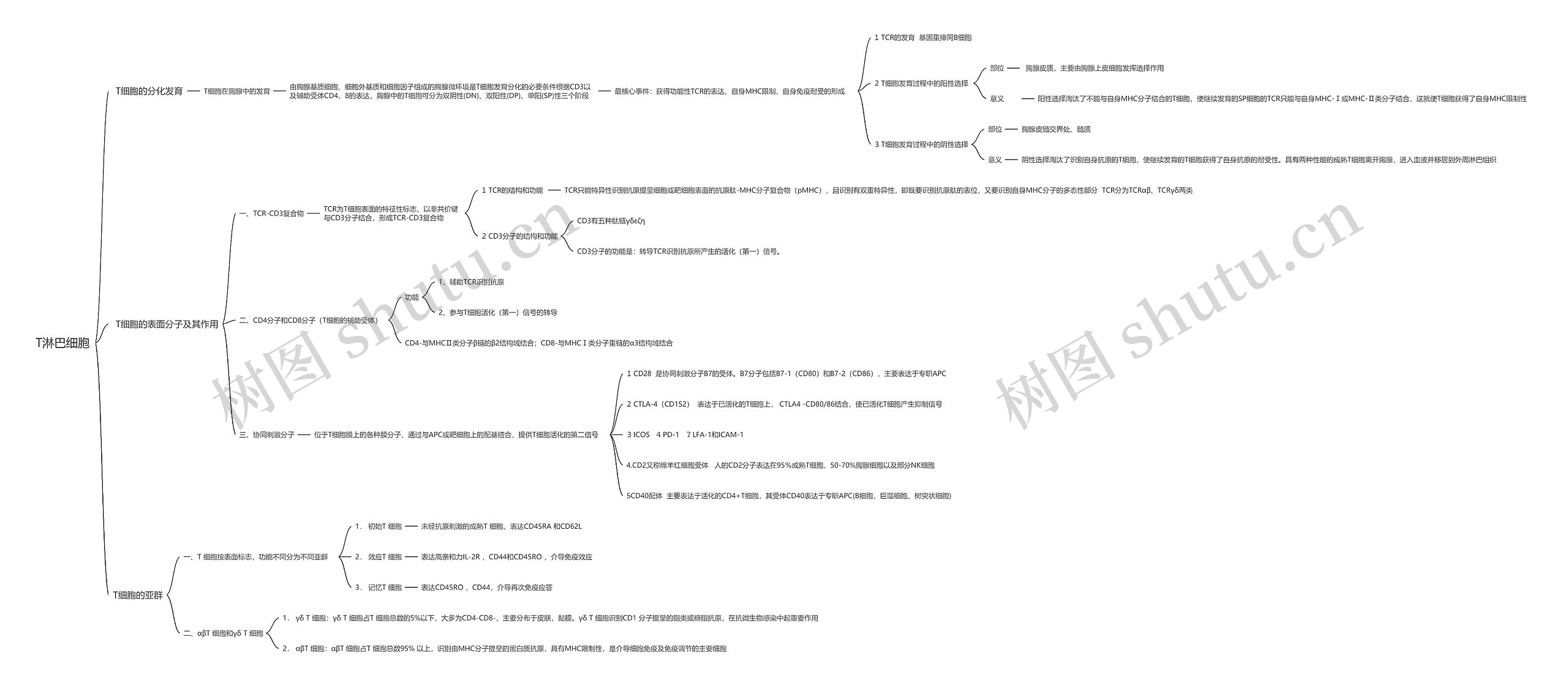 T淋巴细胞思维导图