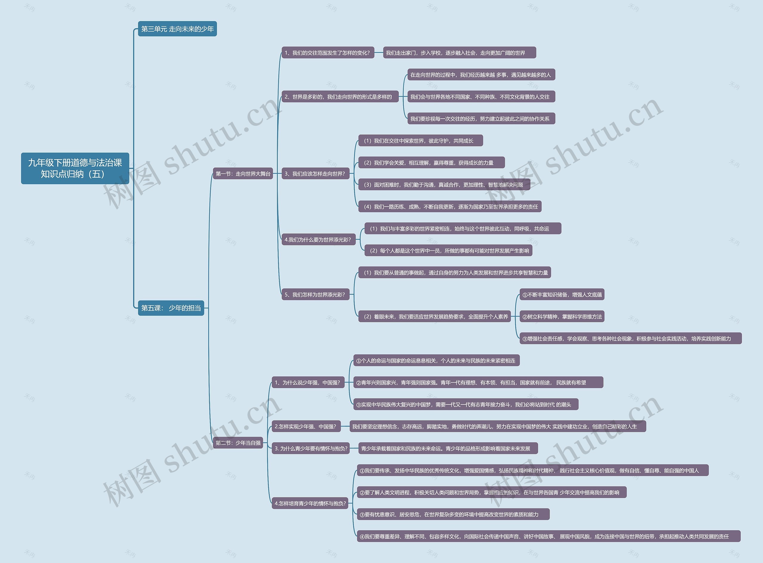 九年级下册道德与法治课知识点归纳（五）思维导图