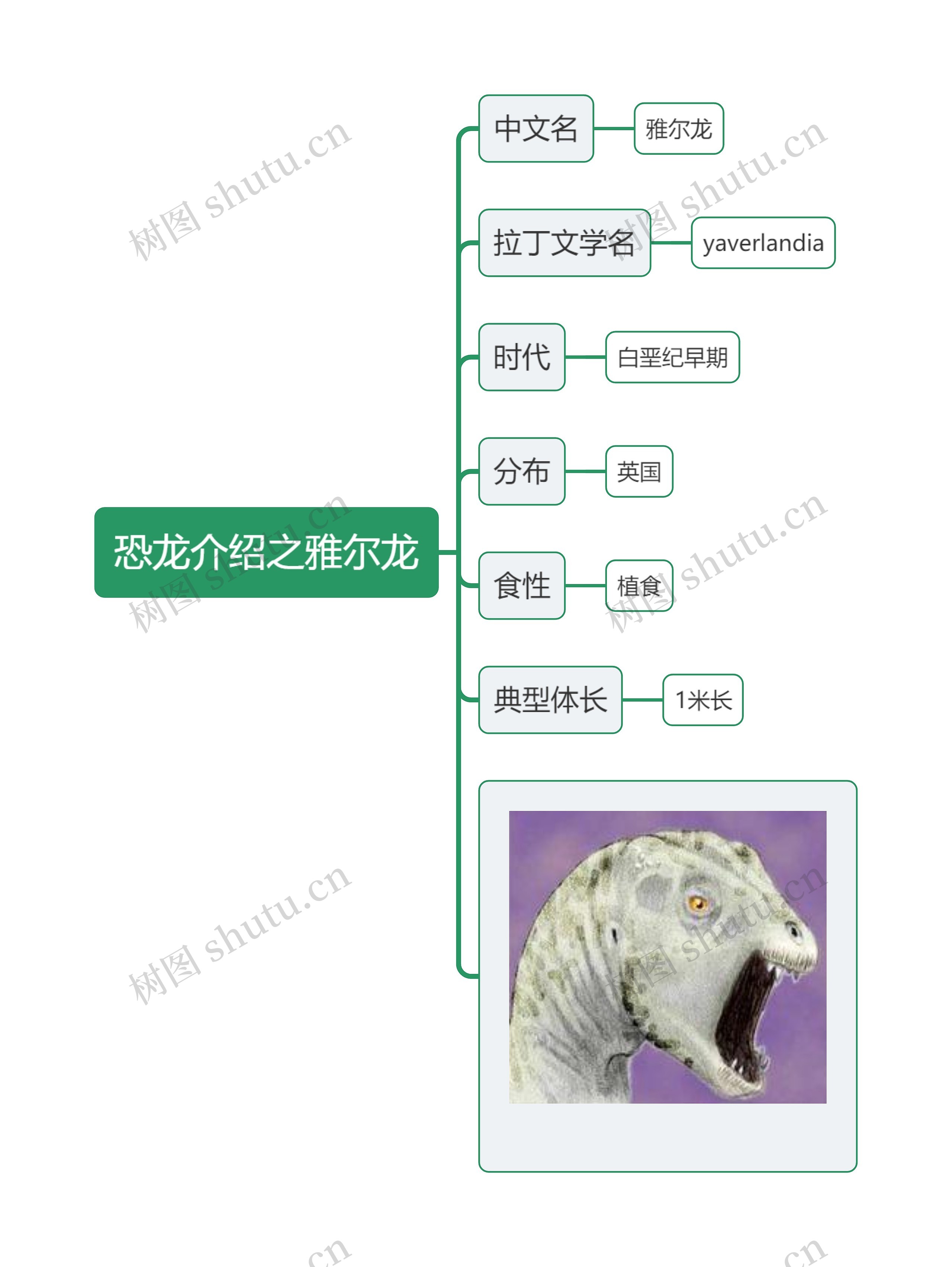 恐龙介绍之雅尔龙思维导图