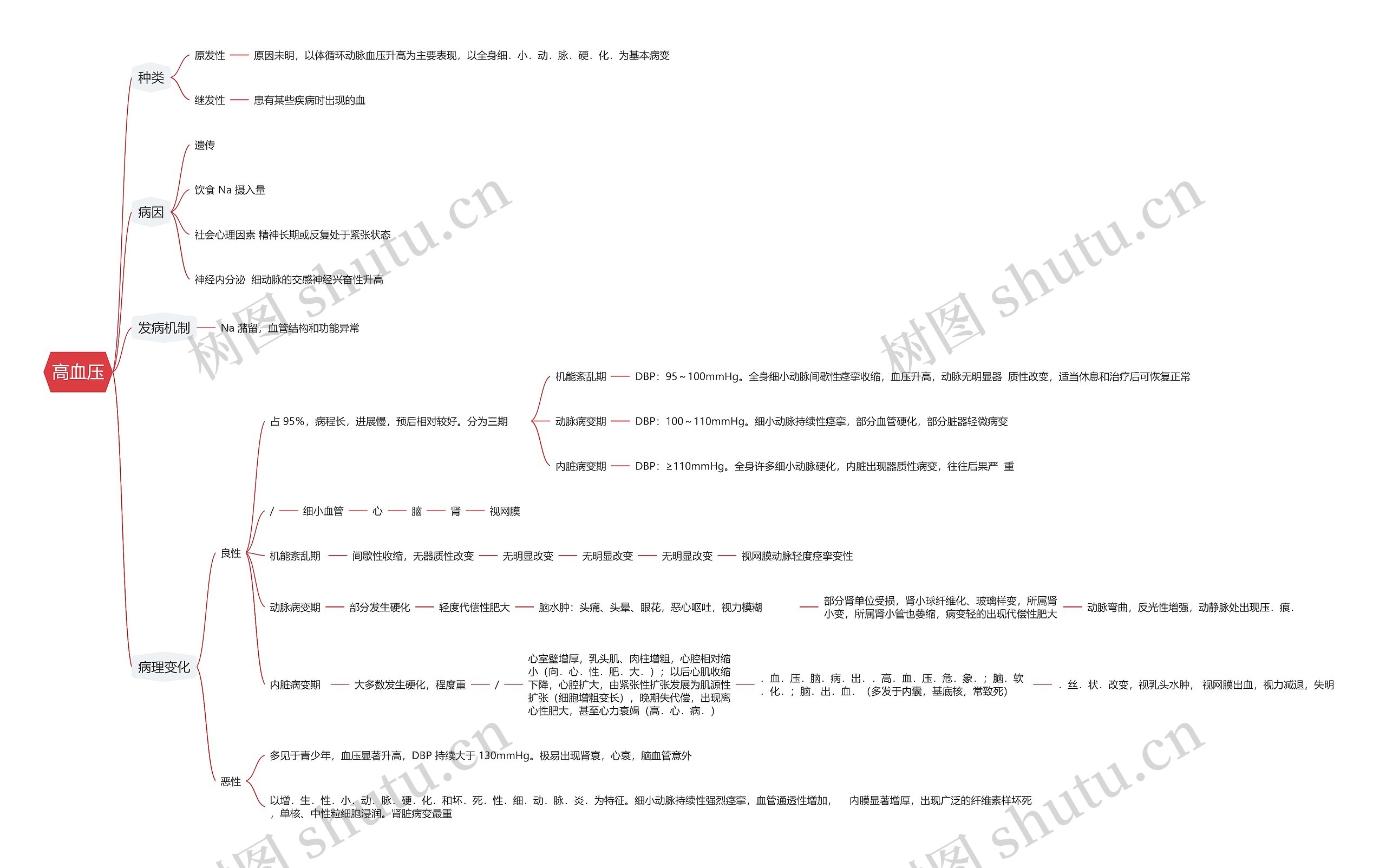 高血压思维导图