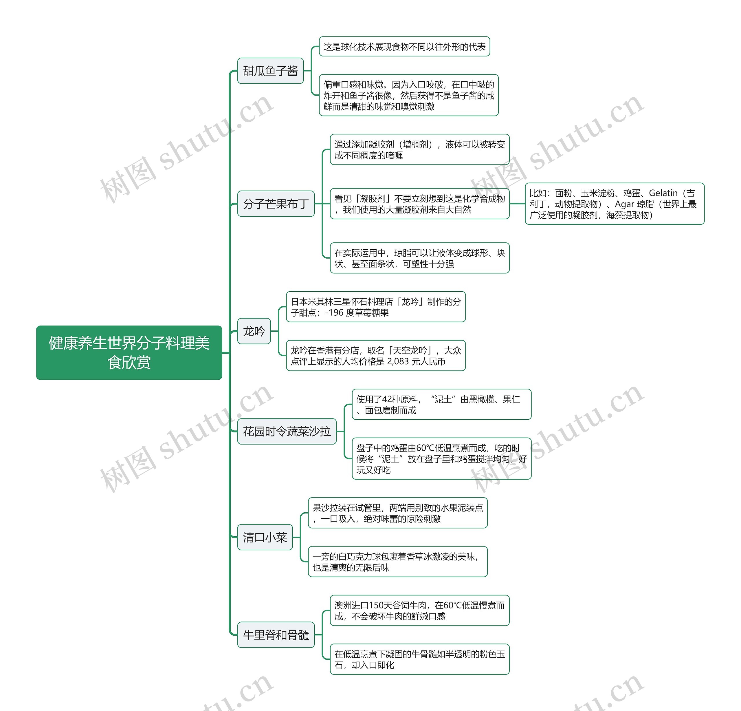 健康养生世界分子料理美食欣赏思维导图