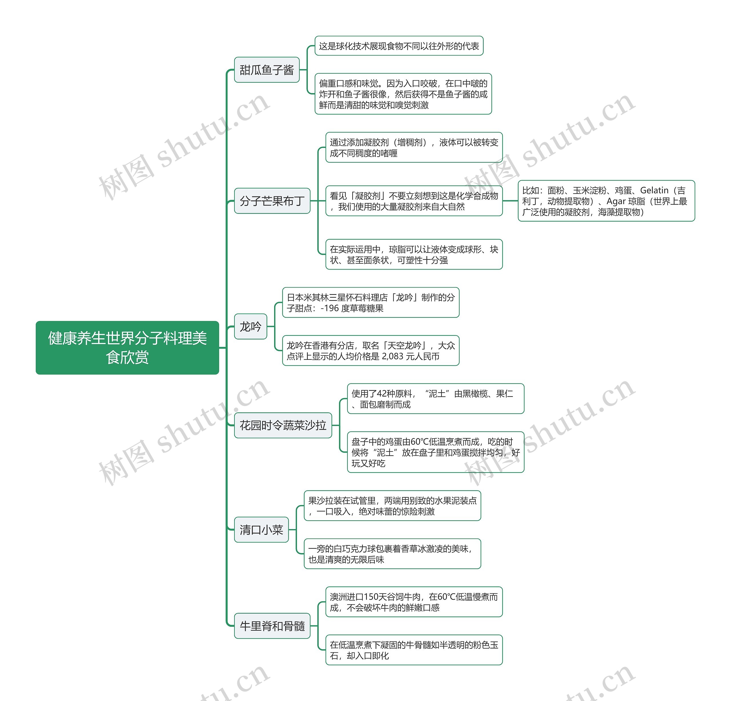 健康养生世界分子料理美食欣赏思维导图 健康养生世界分子料理美食欣赏思维导图