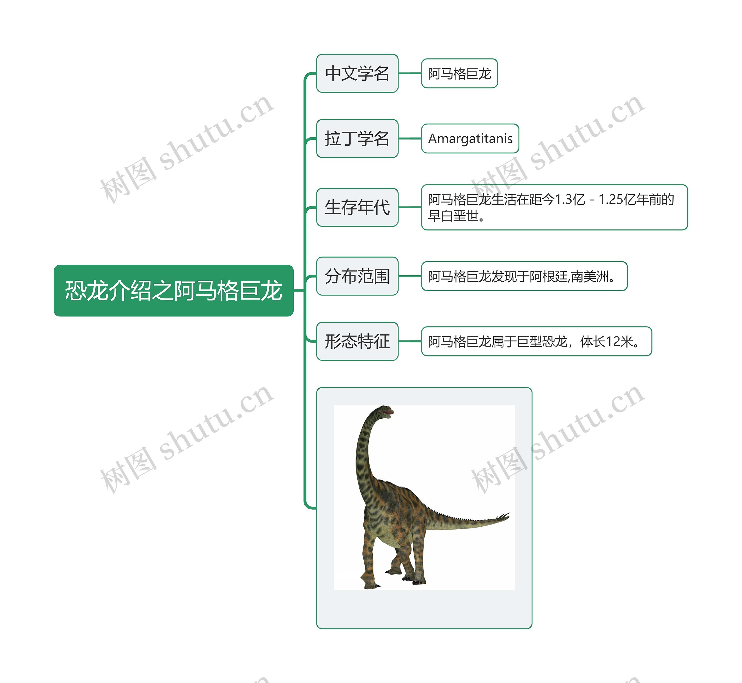 恐龙介绍之阿马格巨龙思维导图高清图 恐龙介绍之阿马格巨龙思维导图