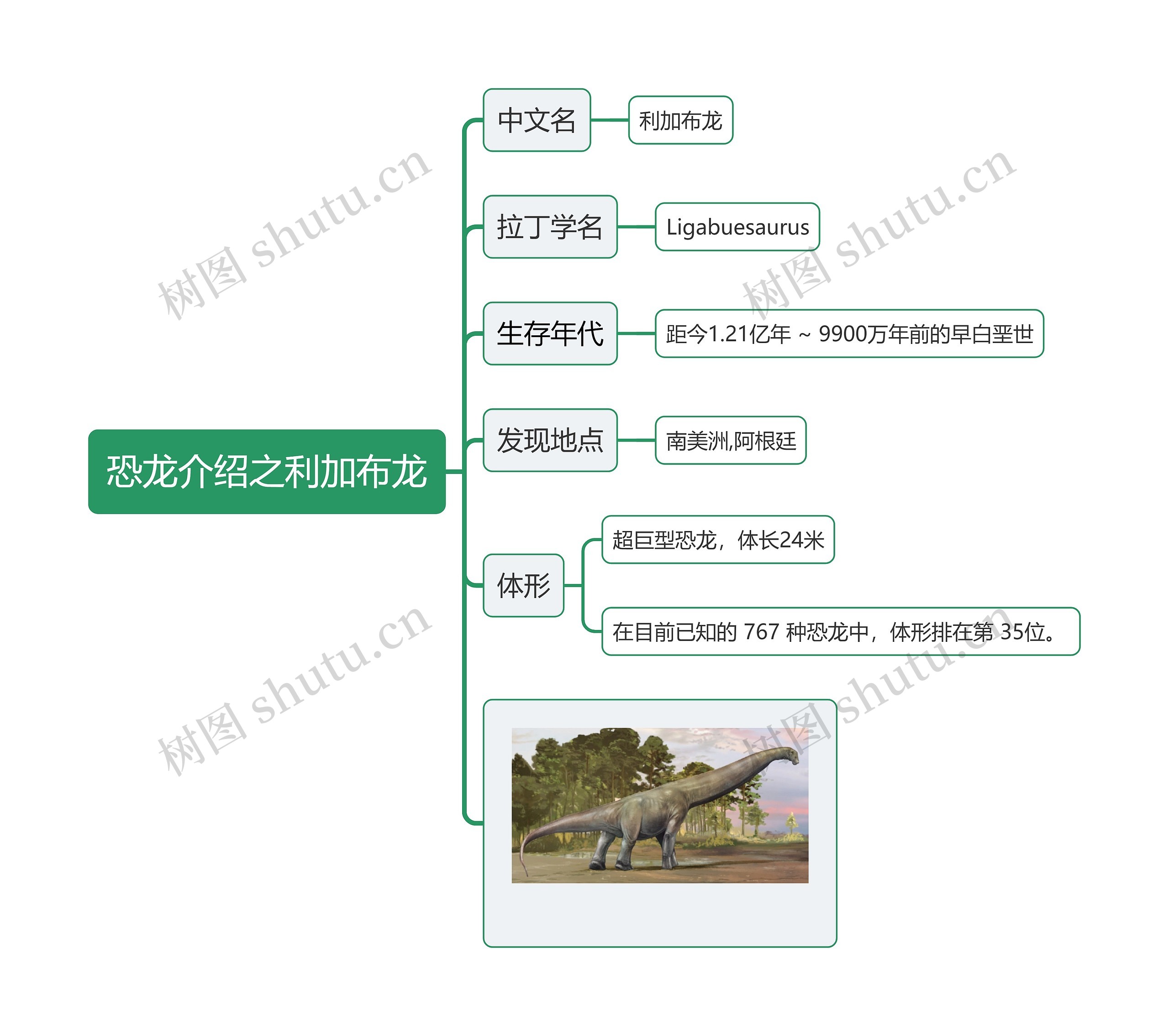 恐龙介绍之利加布龙思维导图