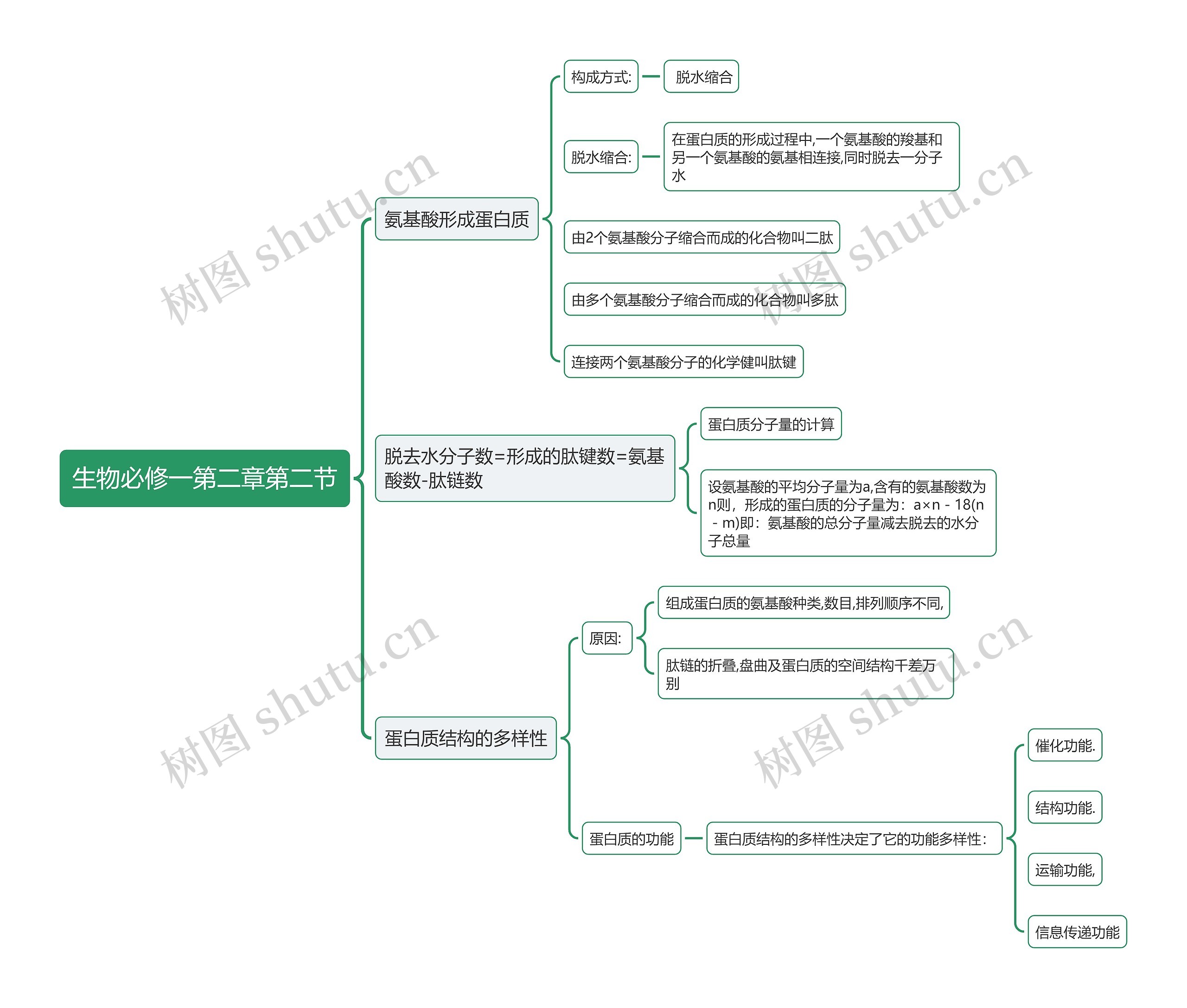 生物必修一第二章第二节思维导图