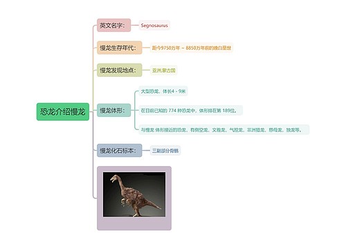 恐龙介绍慢龙