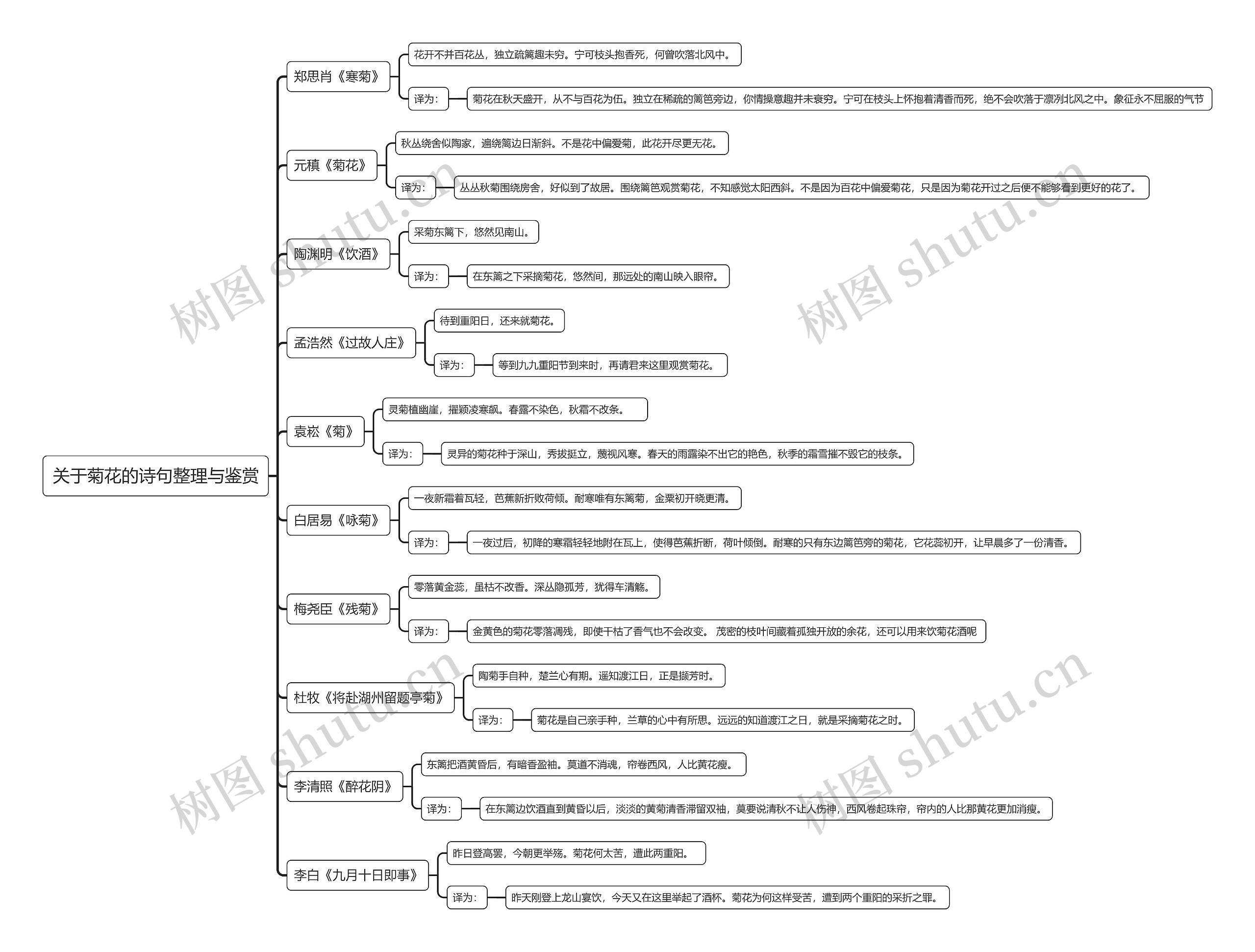 关于菊花的诗句整理与鉴赏思维导图