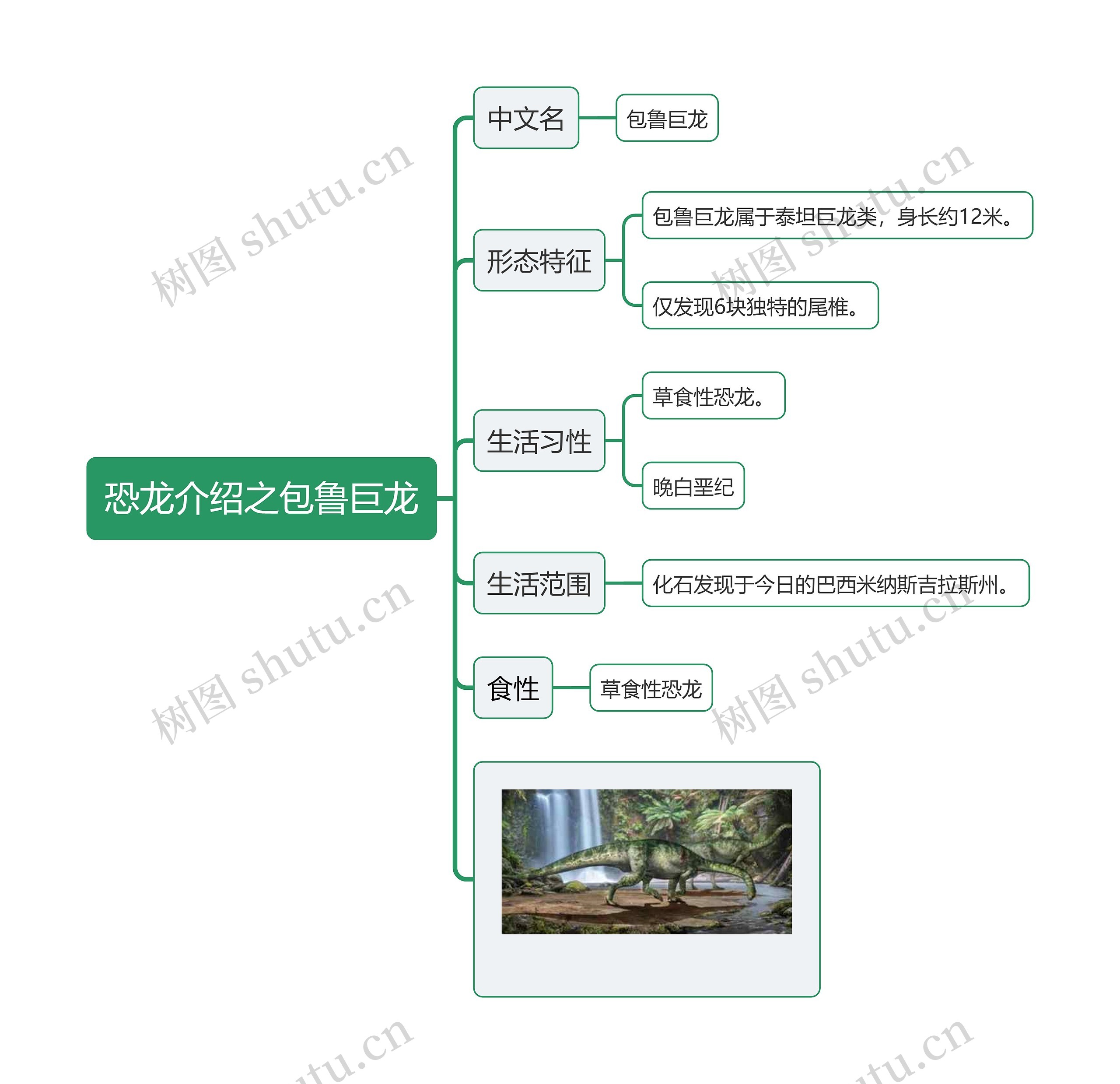 恐龙介绍之包鲁巨龙思维导图