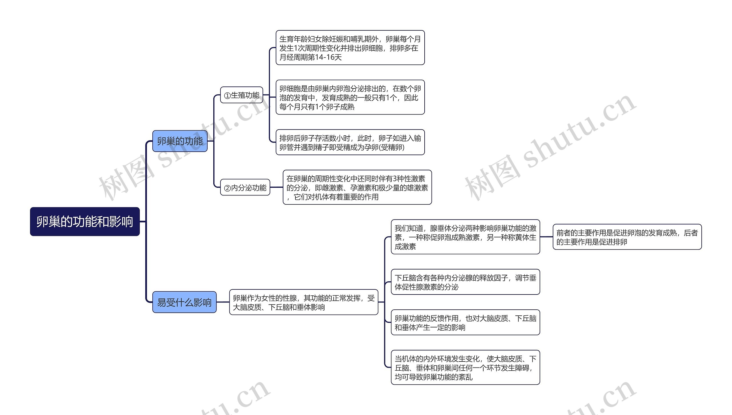 卵巢的功能和影响思维导图