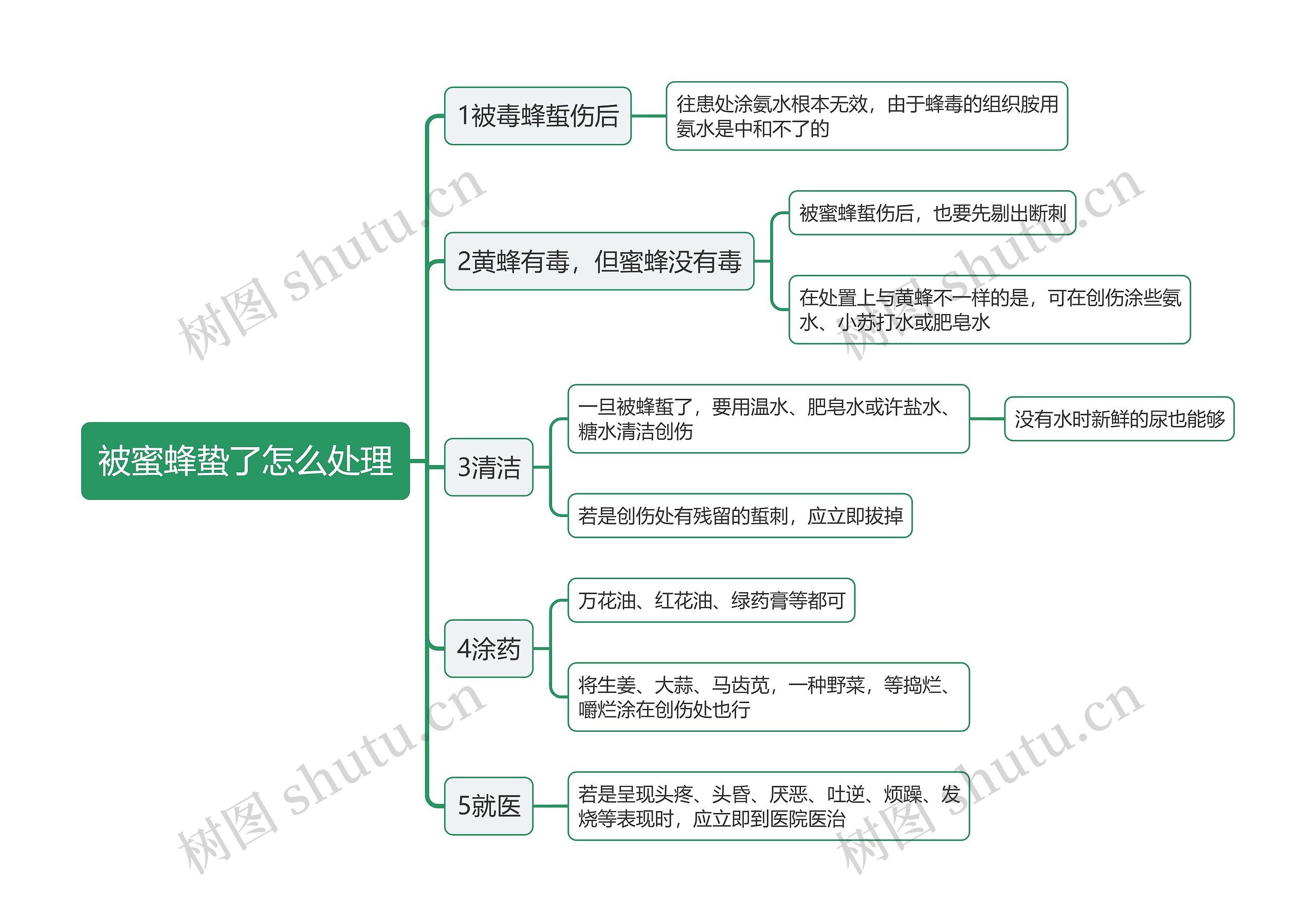 被蜜蜂蛰了怎么处理思维导图