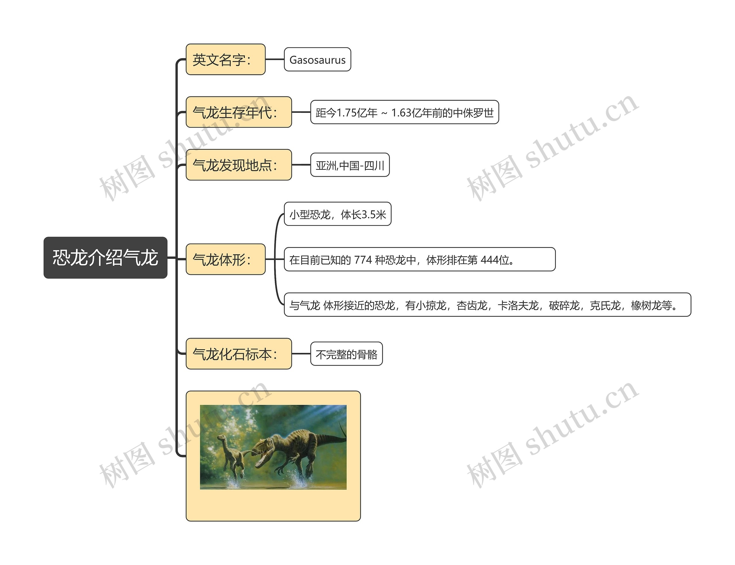 恐龙介绍气龙