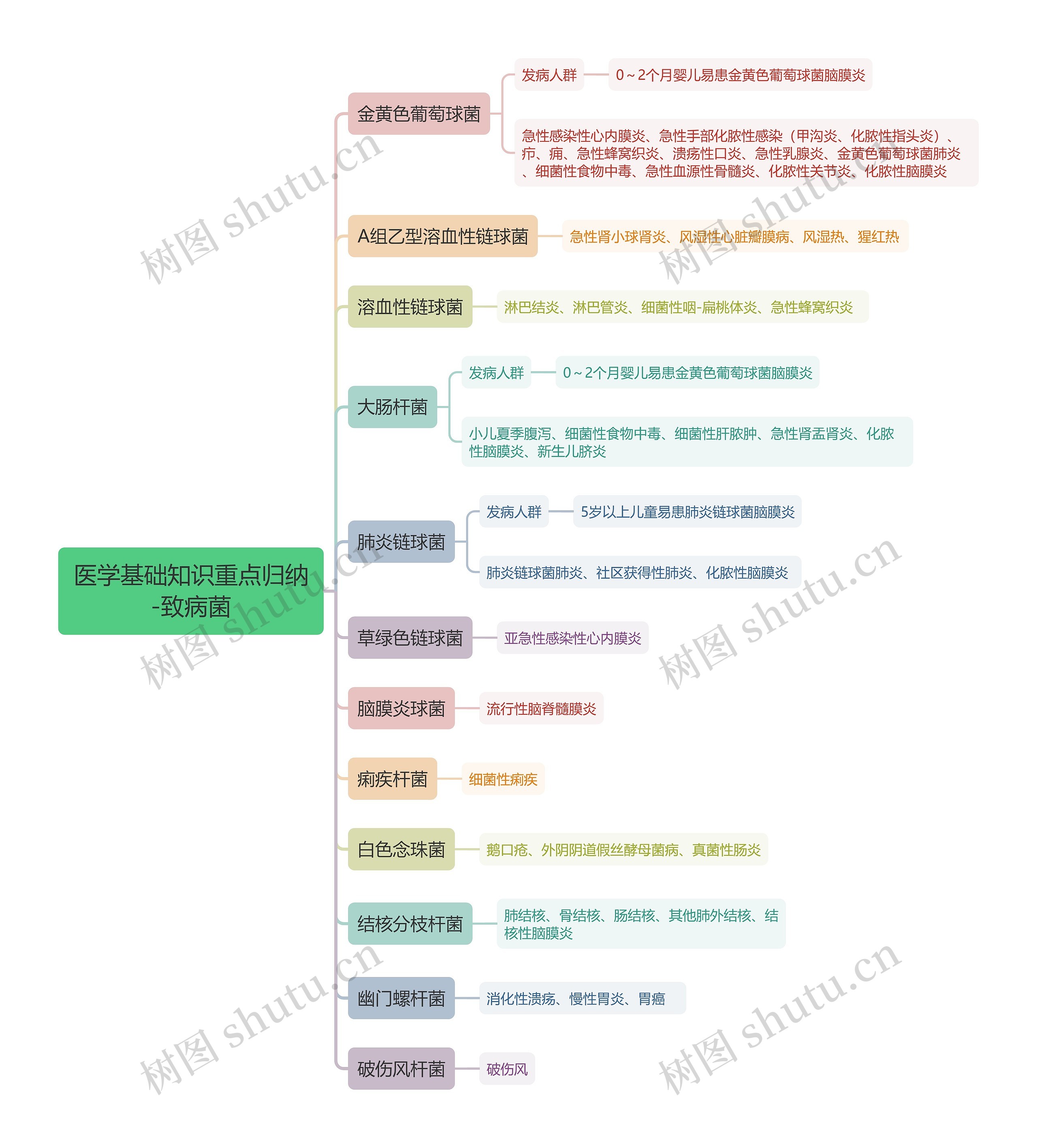 医学基础知识重点归纳-致病菌思维导图