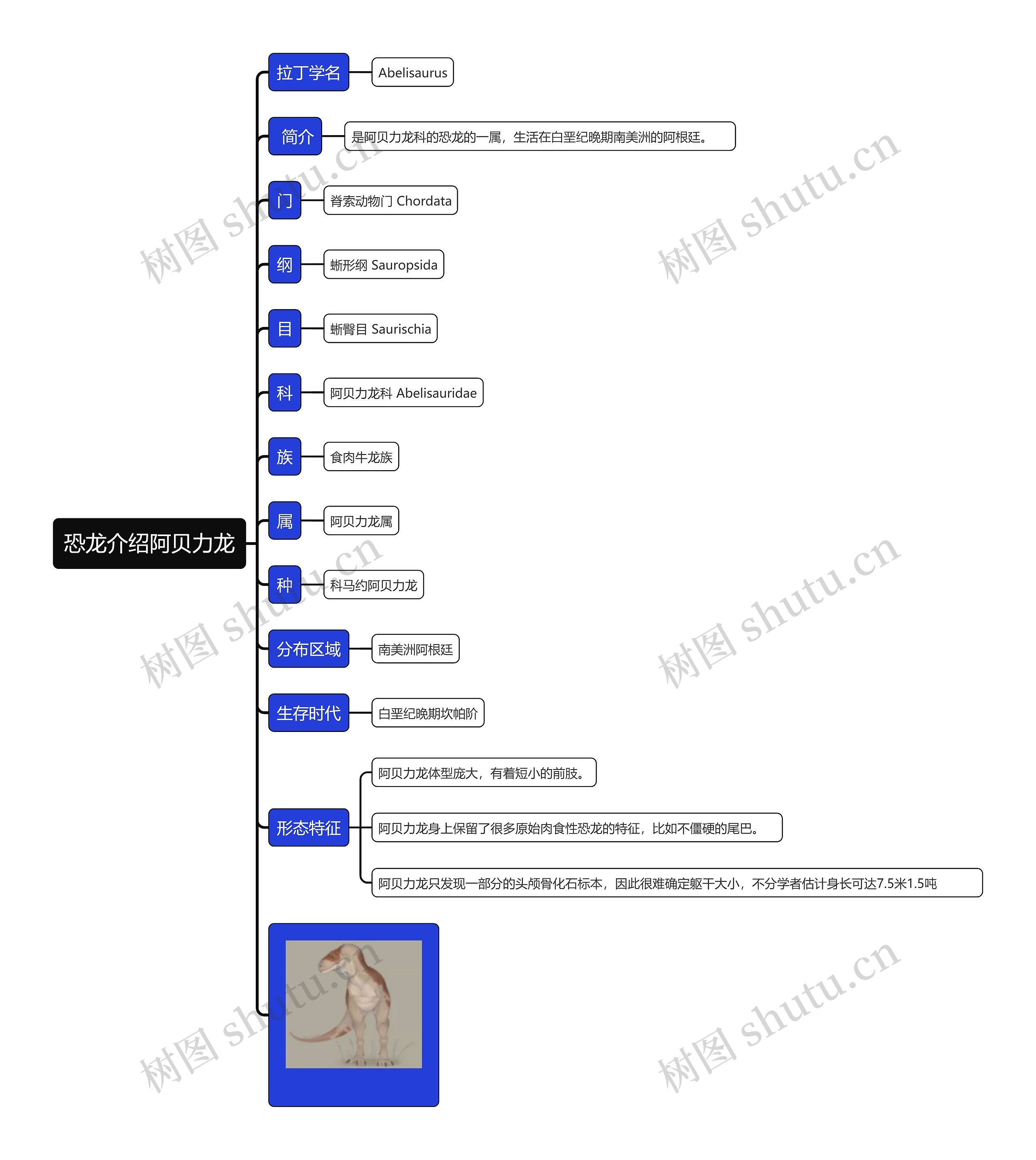 恐龙介绍阿贝力龙思维导图