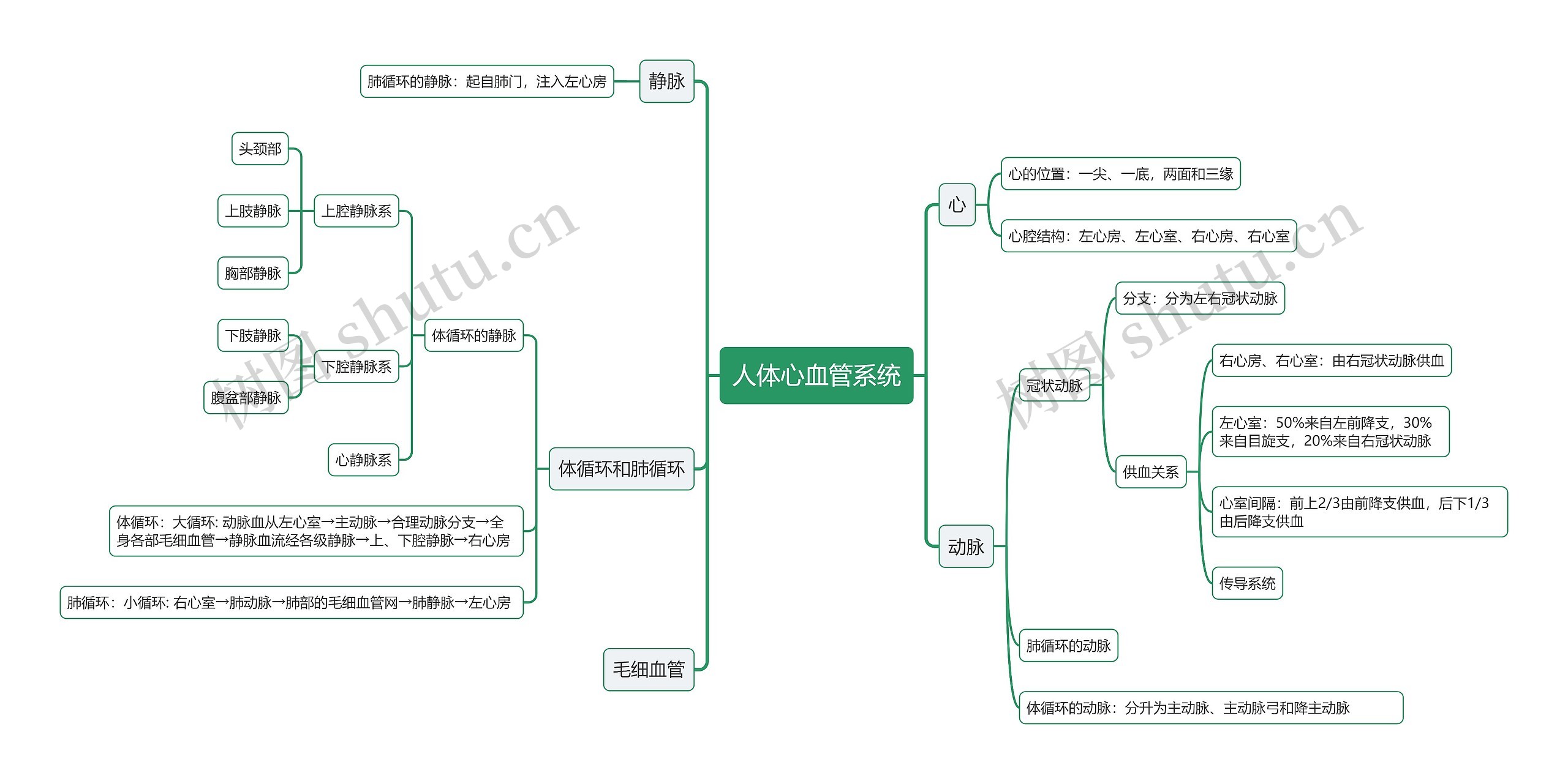 人体心血管系统思维导图高清图 人体心血管系统思维导图