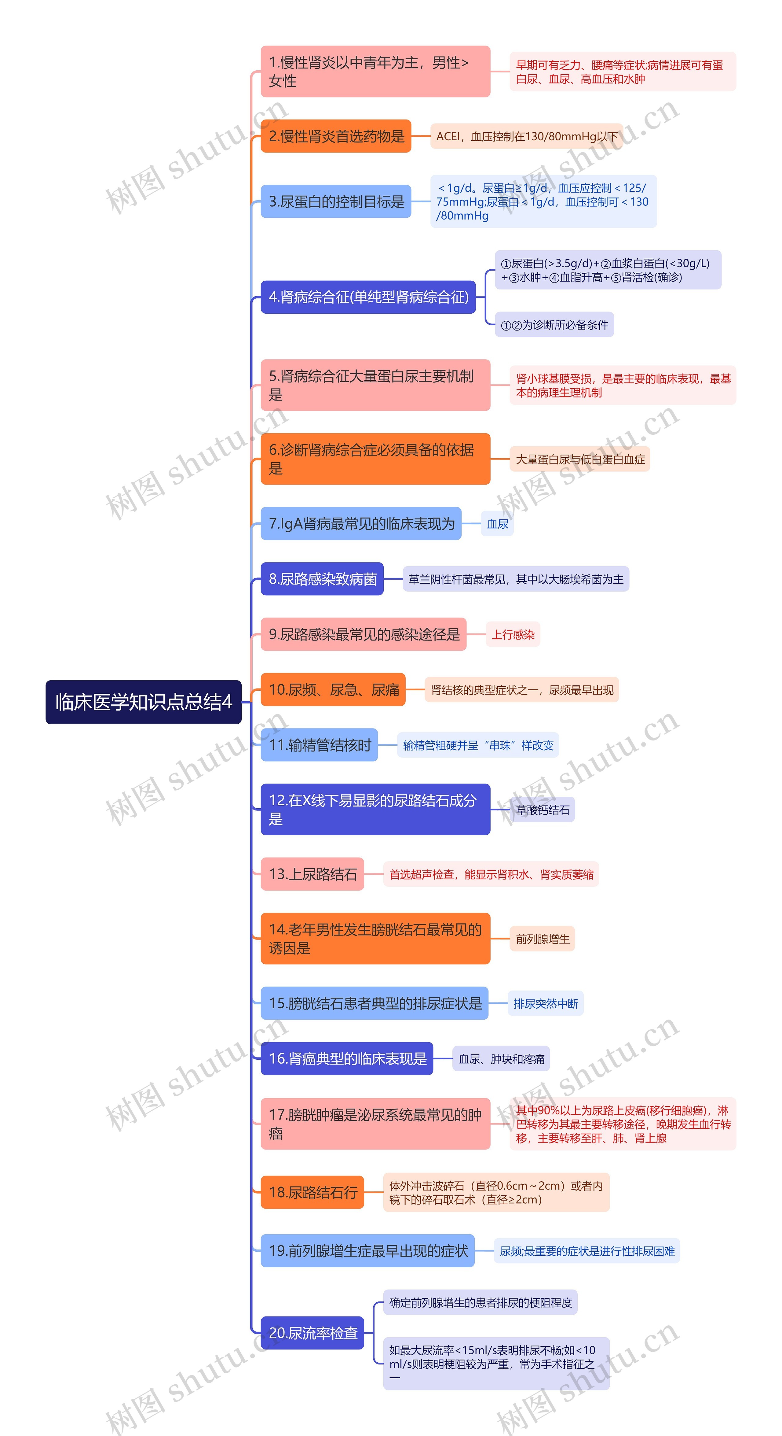 临床医学知识点总结4思维导图