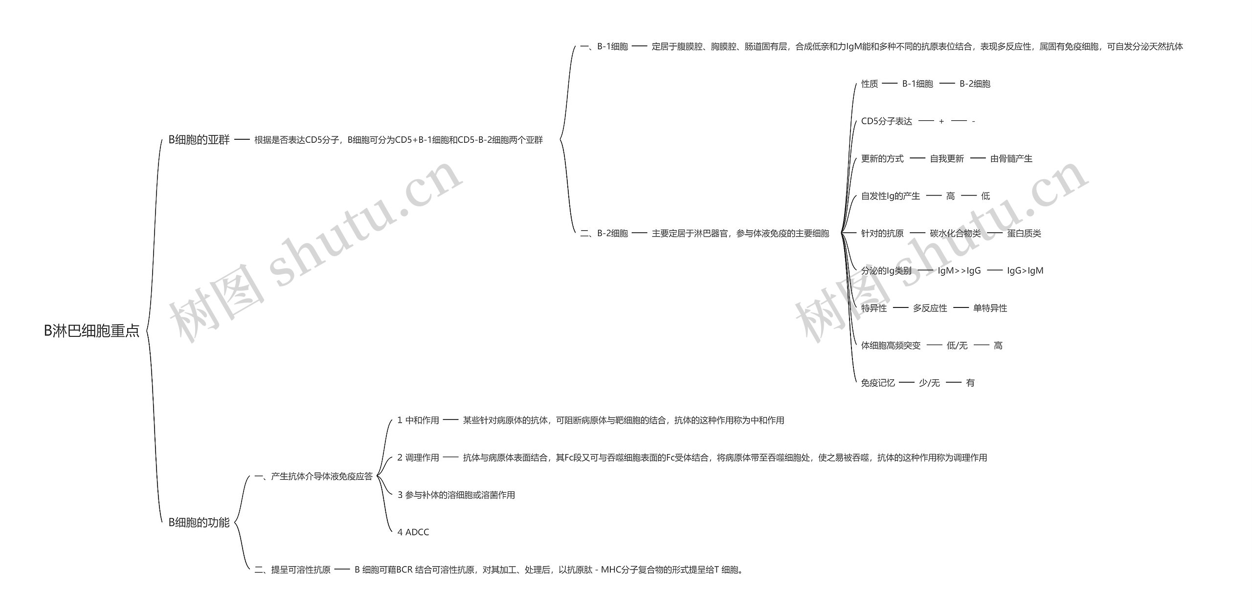 B淋巴细胞重点思维导图