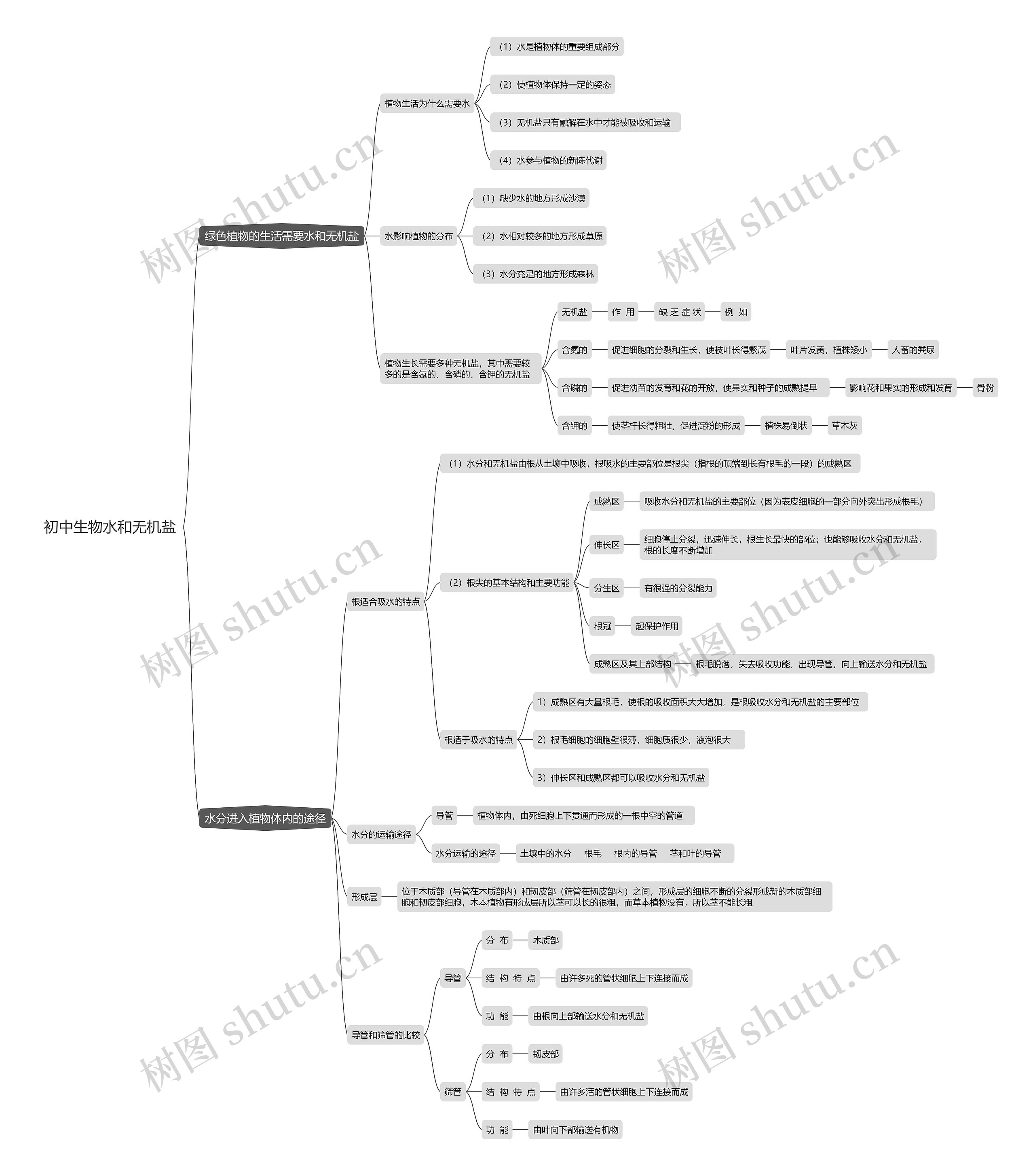 初中生物水和无机盐思维导图