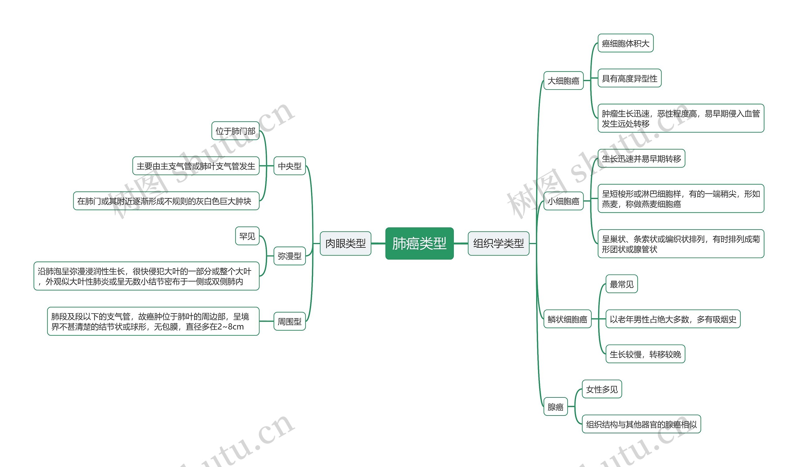 肺癌类型思维导图