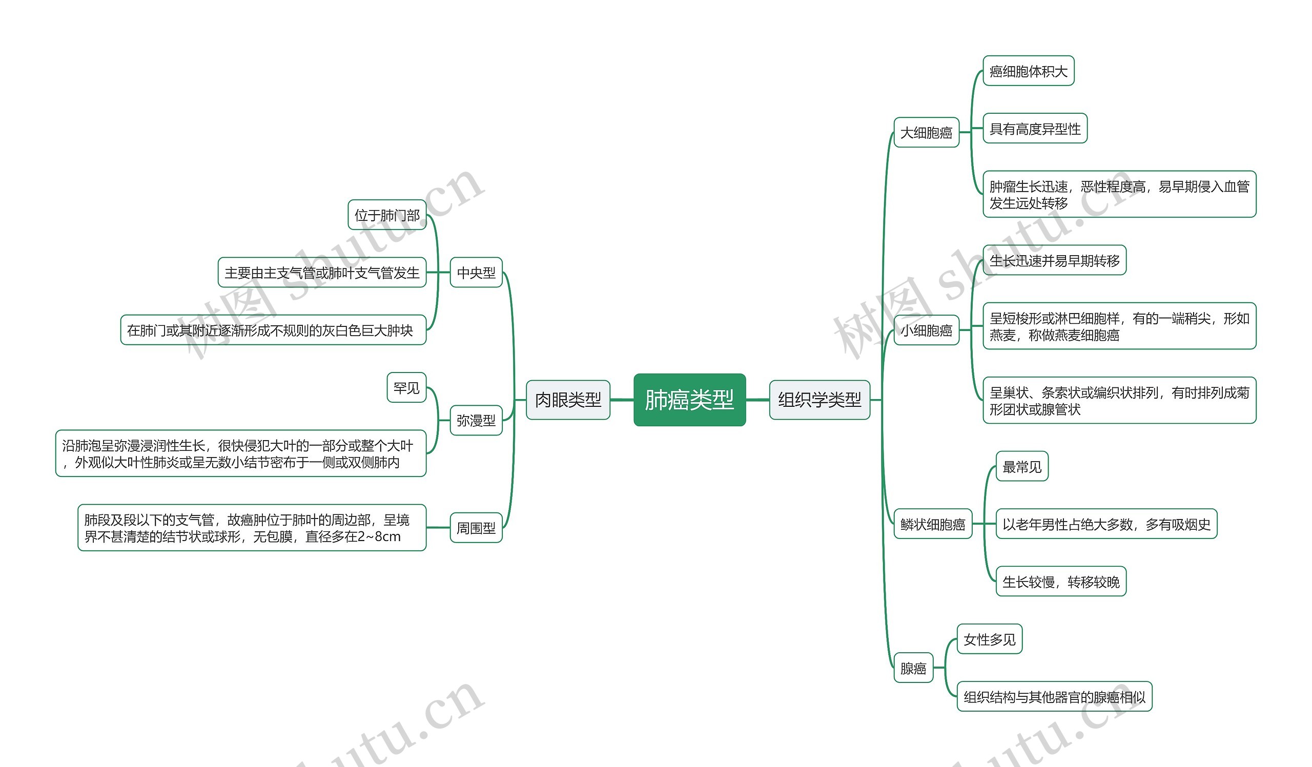 肺癌类型思维导图