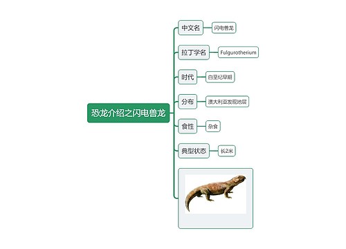 恐龙介绍之闪电兽龙思维导图