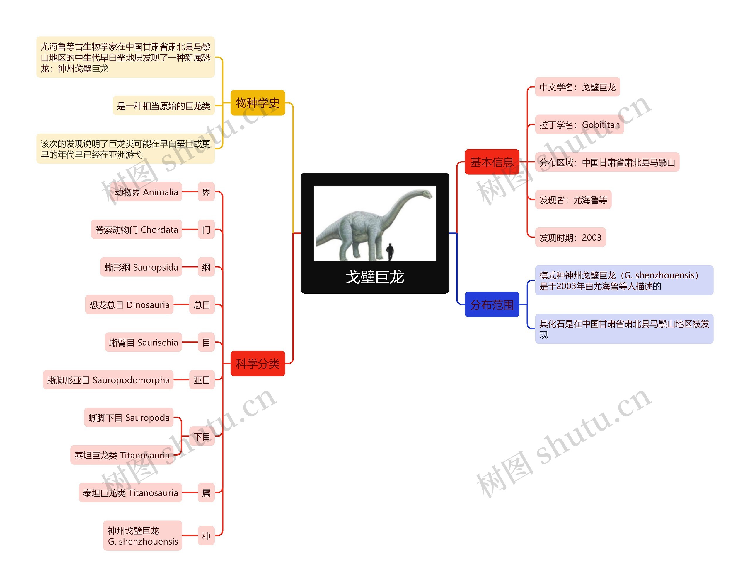 戈壁巨龙思维导图