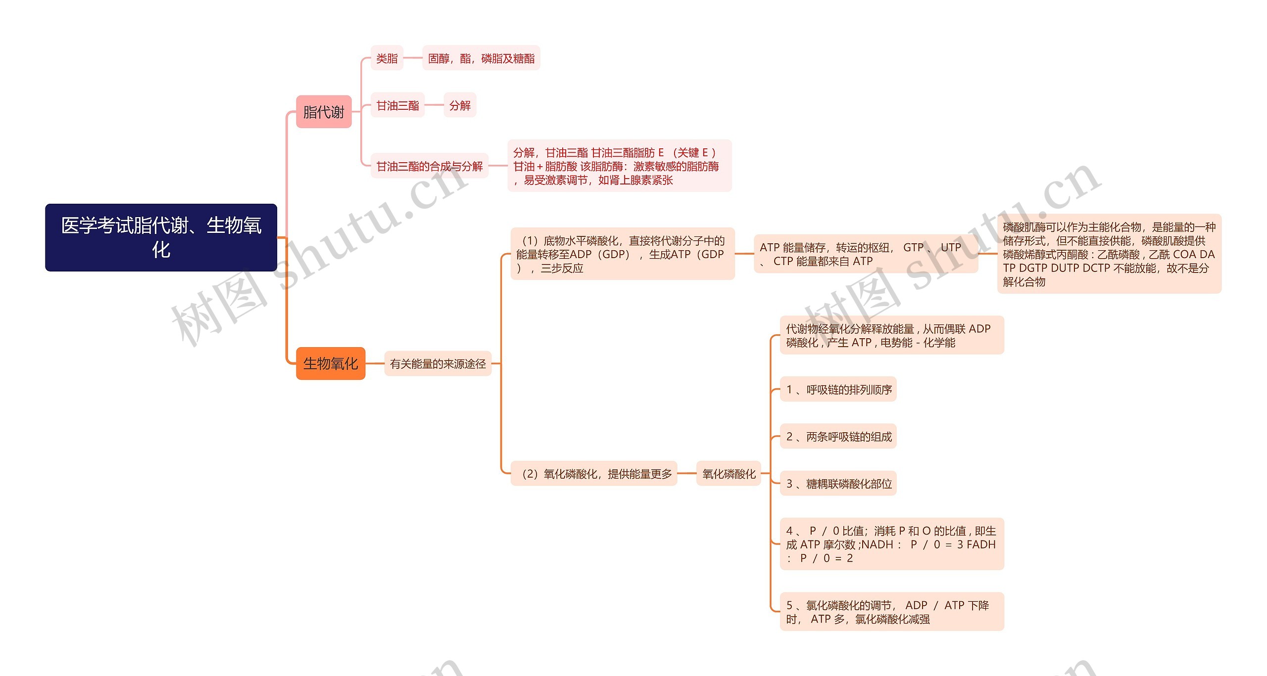 医学考试脂代谢、生物氧化思维导图 医学考试脂代谢、生物氧化思维导图