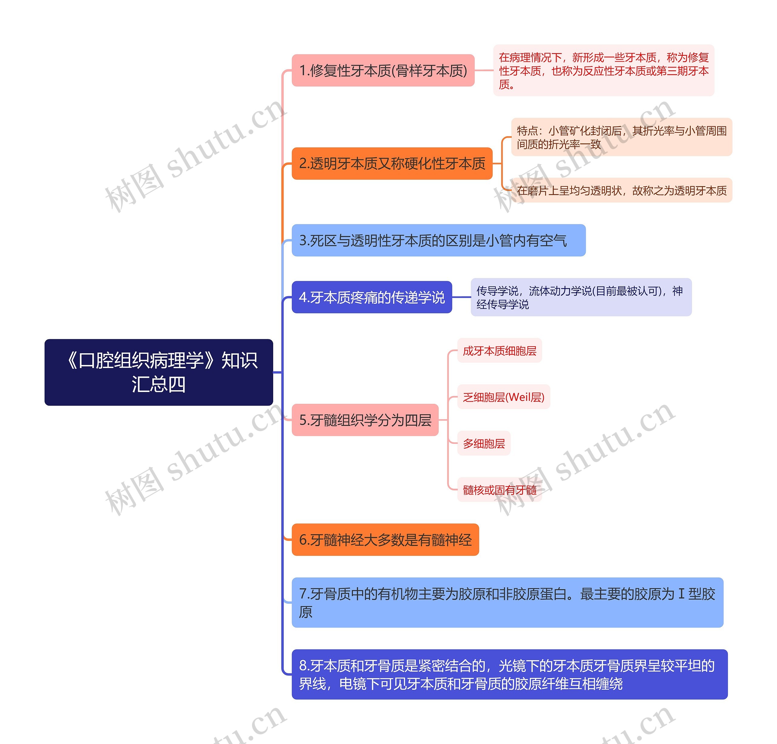 《口腔组织病理学》知识汇总四