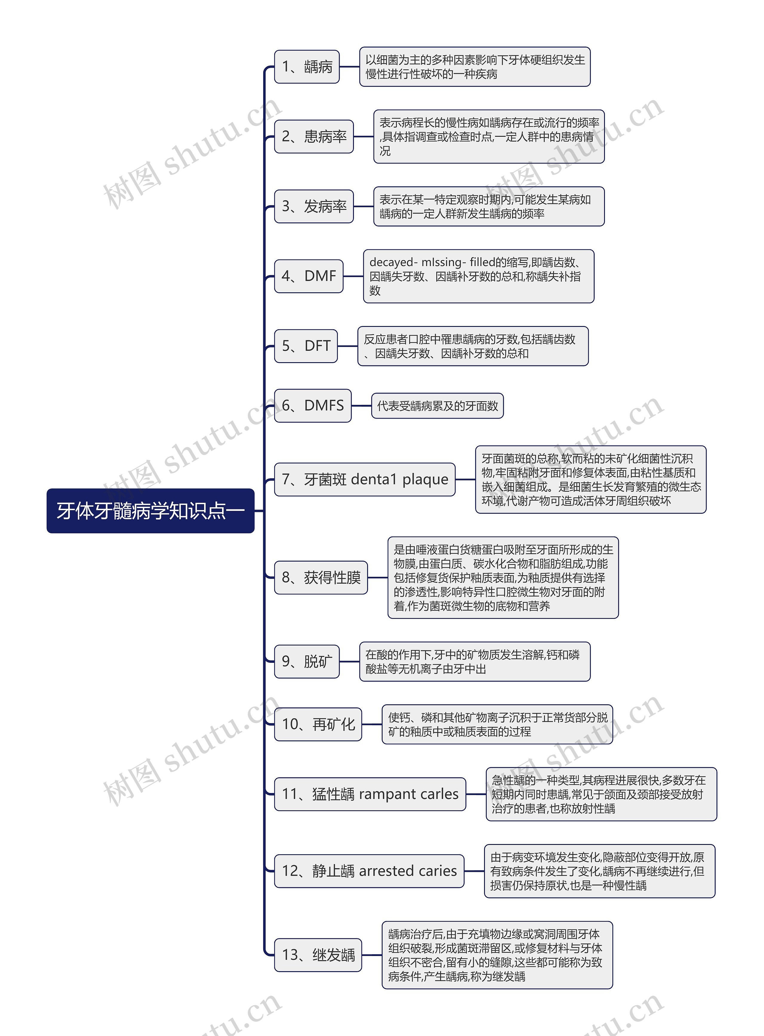 牙体牙髓病学知识点一思维导图