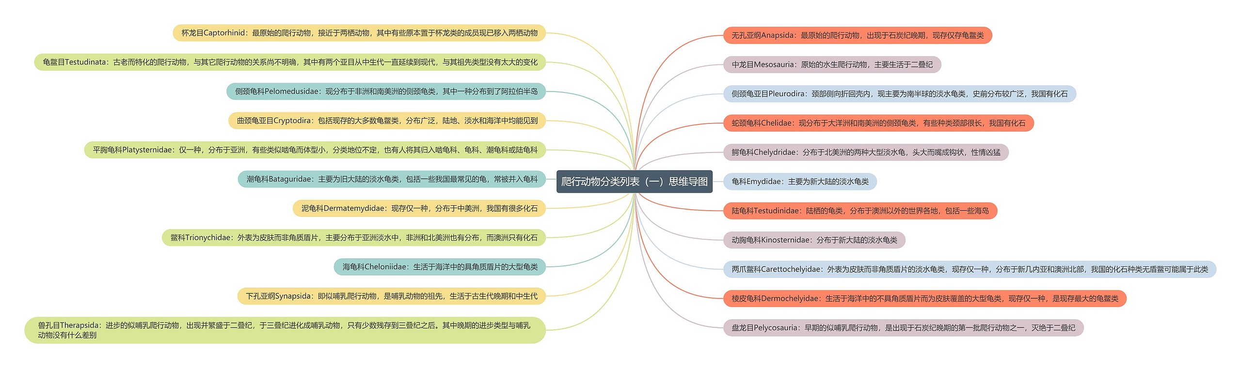 爬行动物分类列表（一）思维导图