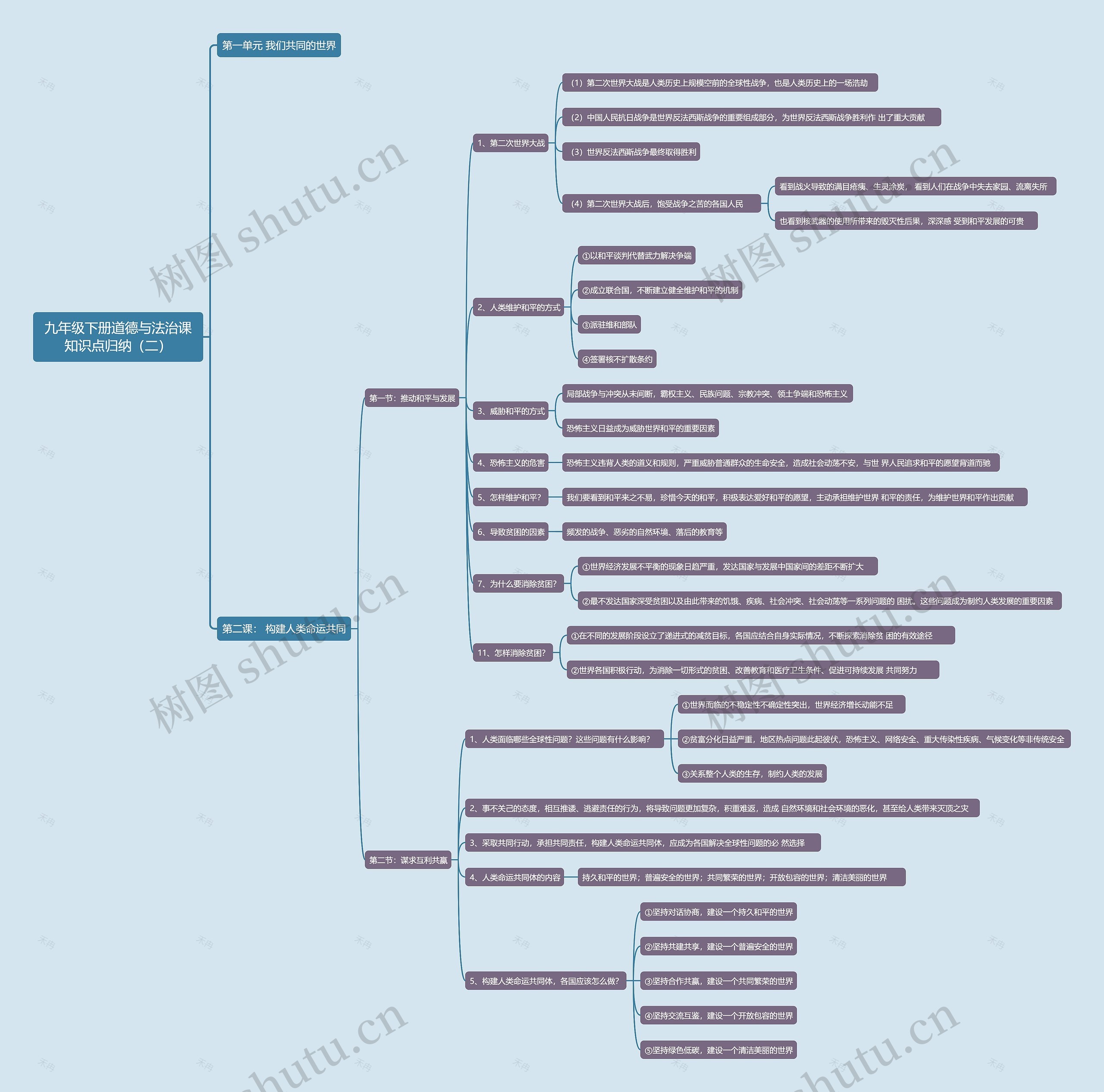 九年级下册道德与法治课知识点归纳（二）思维导图