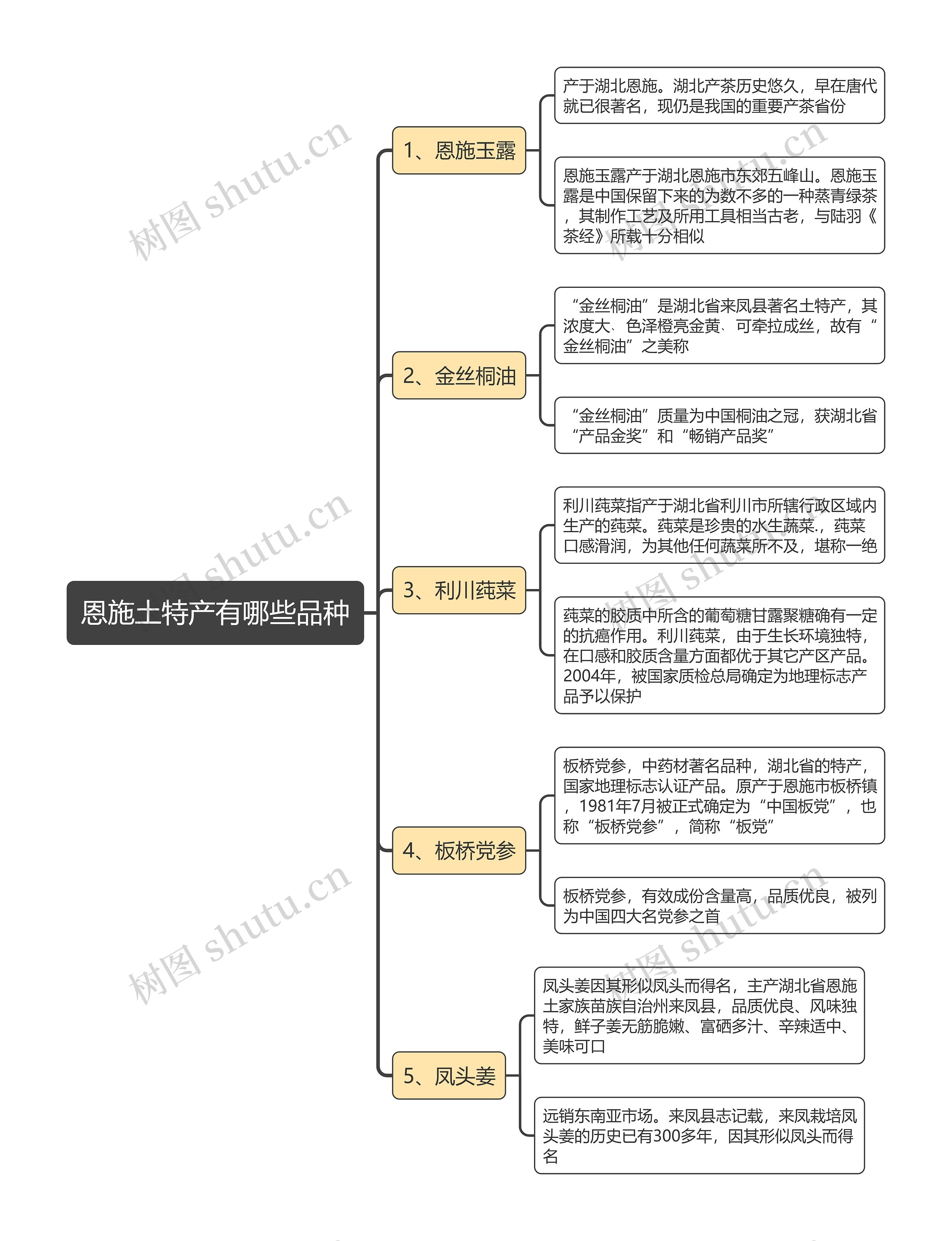 恩施土特产有哪些品种思维导图